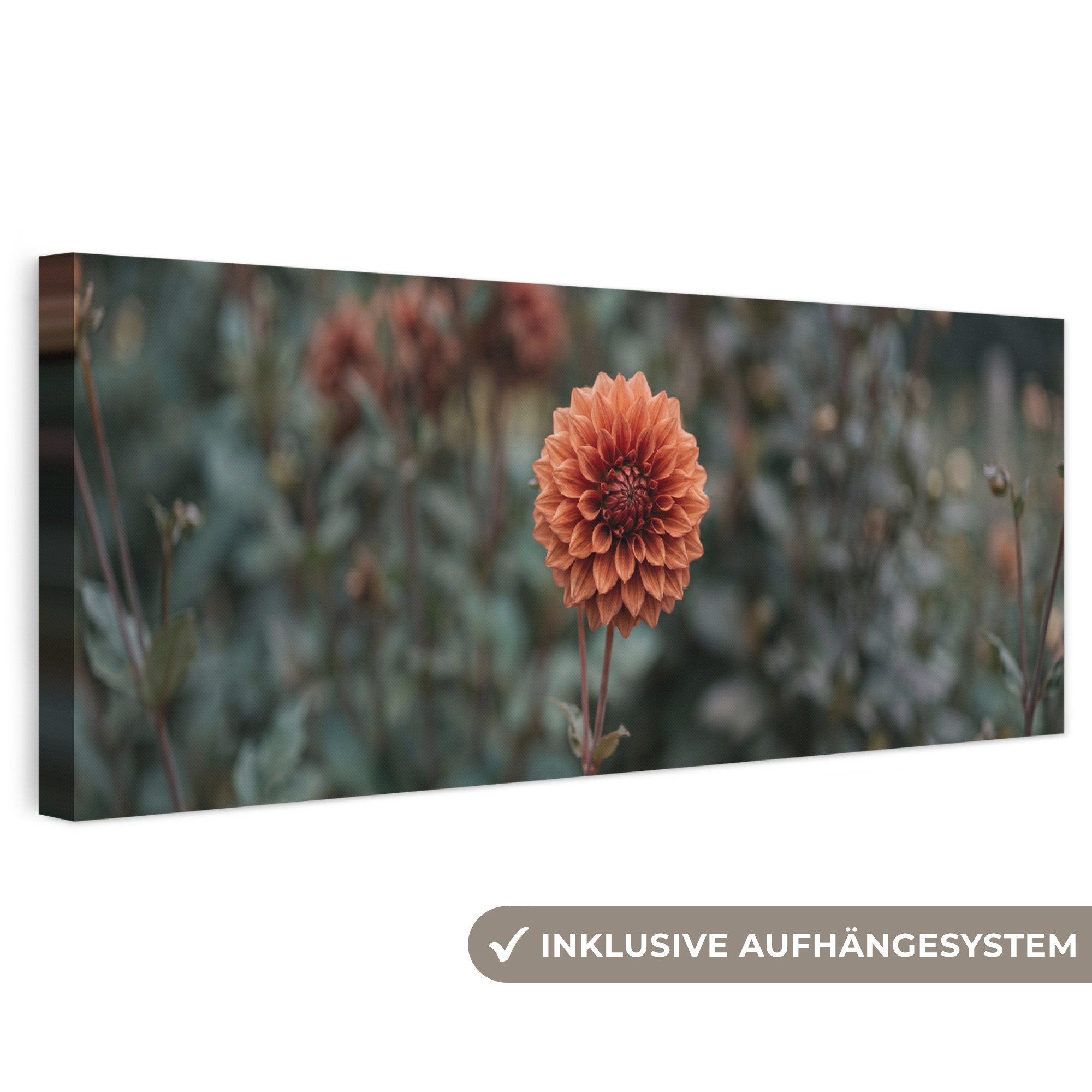 OneMillionCanvasses® Leinwandbild Panorama Dahlie - Blume - Natur - Atmosphärisch, Fotodruck (1 St), Wandbild, Deko Schlafzimmer Wohnzimmer Flur 60x20 cm