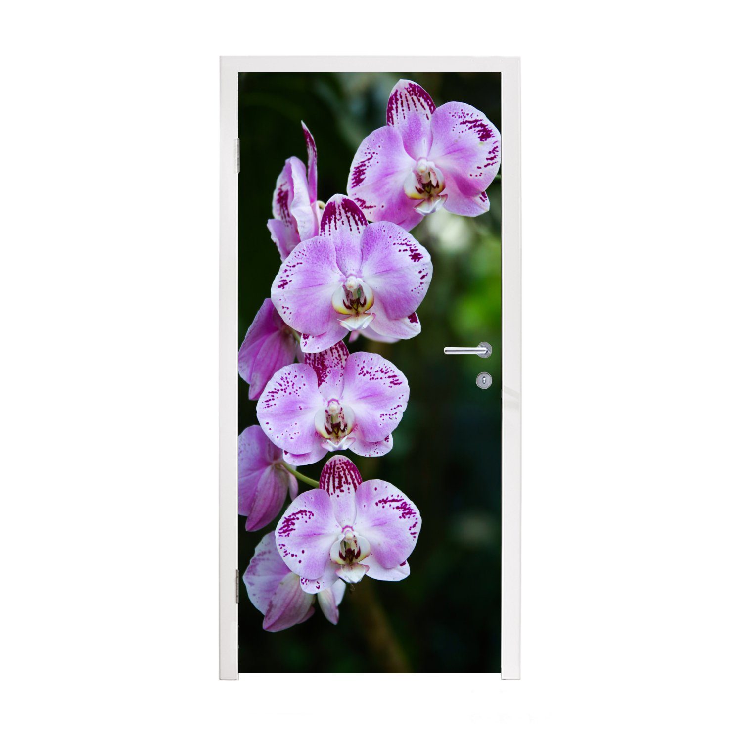 MuchoWow Türtapete Blühende Orchideen, Matt, bedruckt, (1 St), Fototapete für Tür, Türaufkleber, 75x205 cm