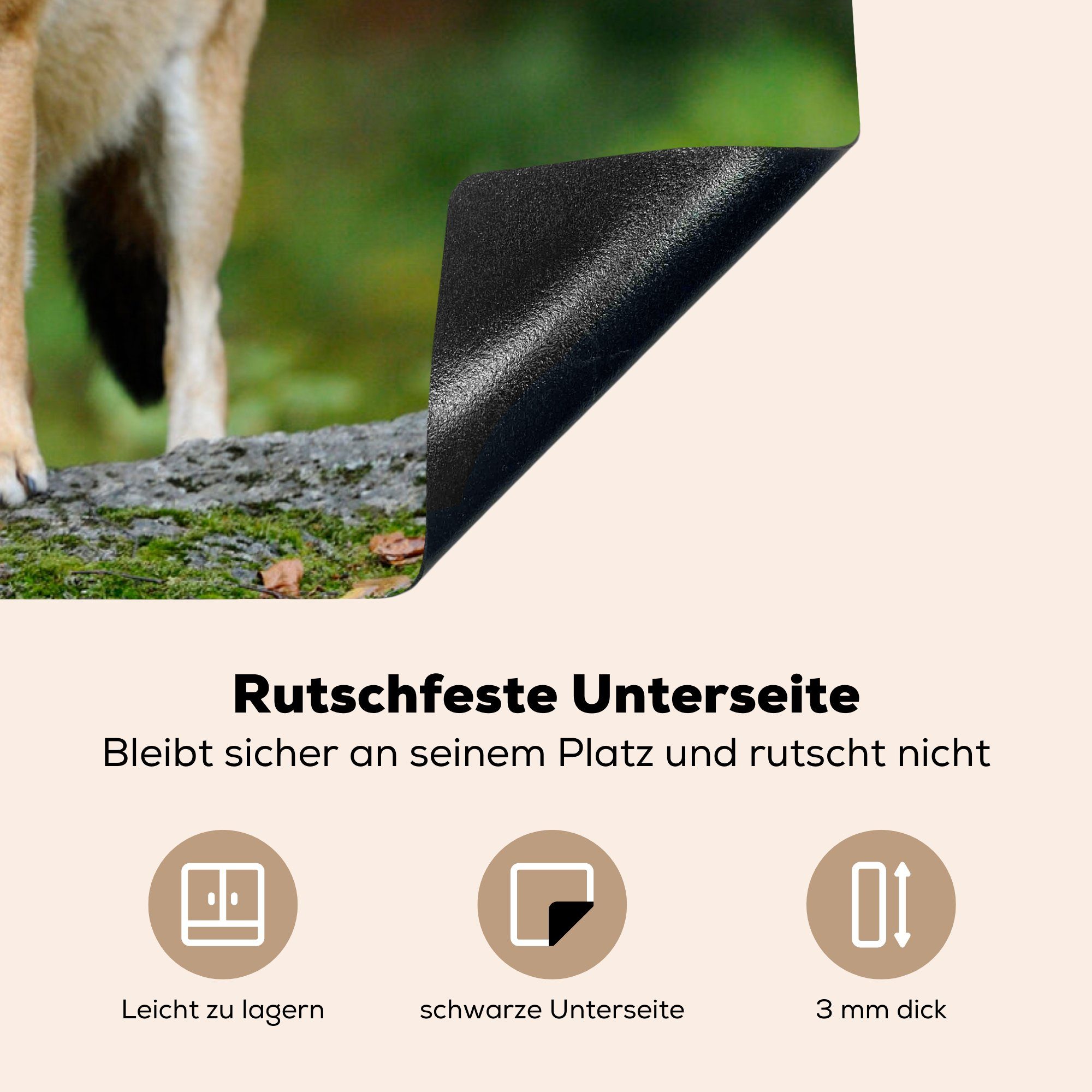 Tiere die (1 Wald, tlg), Induktionskochfeld cm, MuchoWow Ceranfeldabdeckung für küche, Vinyl, - 81x52 - Wolf Herdblende-/Abdeckplatte Schutz