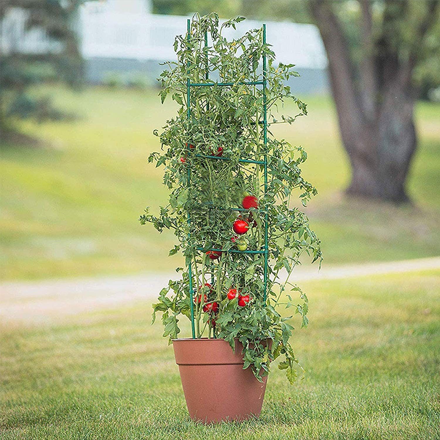 Sekey Rankhilfe »Rankhilfe Tomaten 3er Set Pflanzenstäbe für