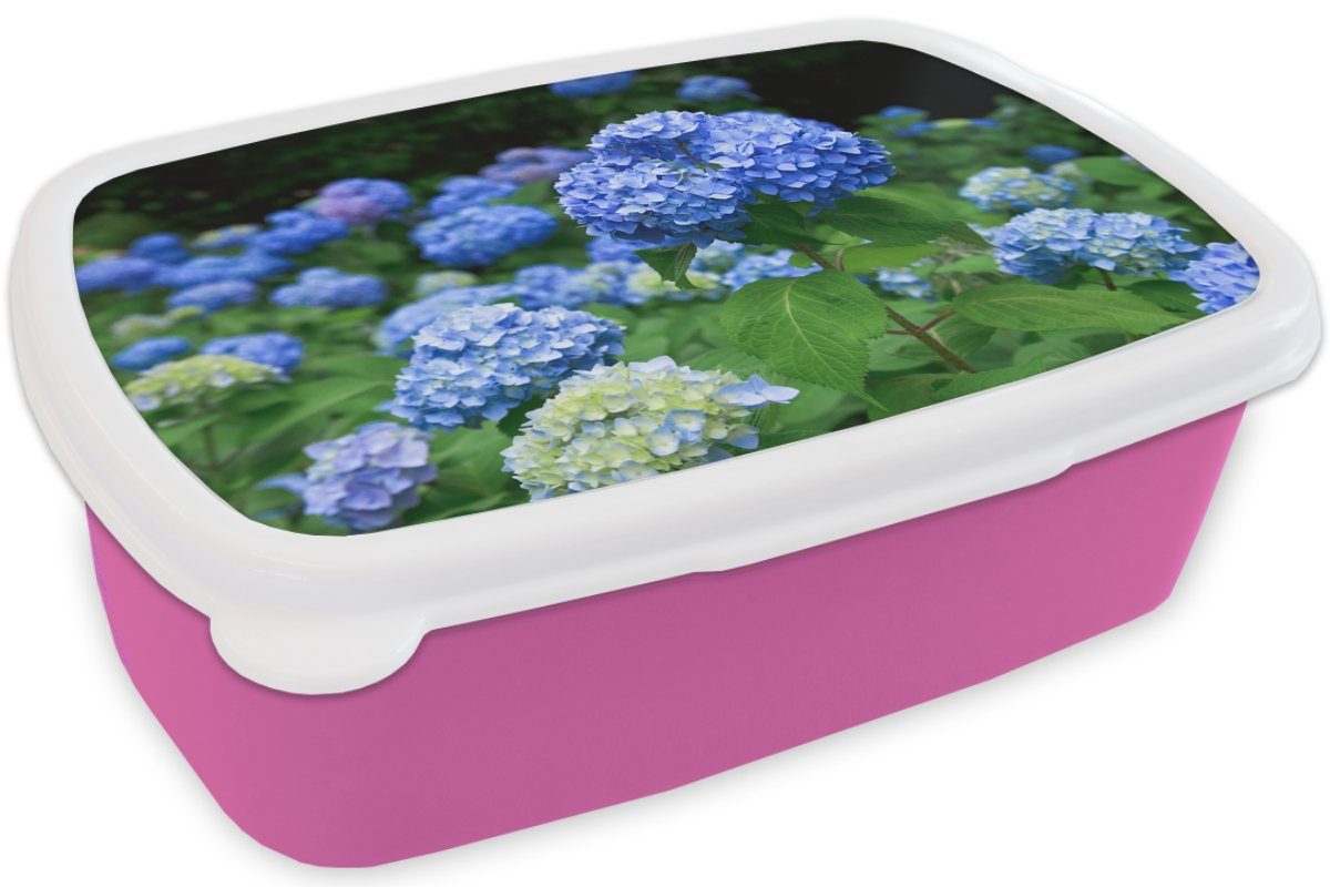 MuchoWow Lunchbox Blaue Hortensienblüten, Kunststoff, Brotbox für Erwachsene, (2-tlg), Kunststoff Snackbox, rosa Brotdose Mädchen, Kinder