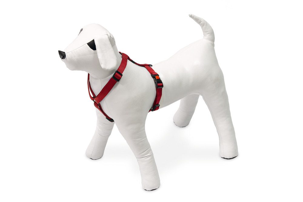 Karlie Hunde-Geschirr Karlie ASP Geschirr - Rot Breite/Brustumfang: 25 mm, 65-100 cm von Karlie