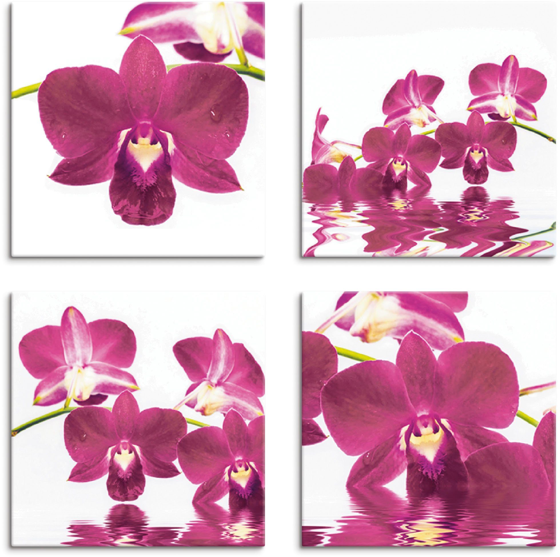 Blumen St), Phalaenopsis Orchidee, Größen (4 Leinwandbild Artland verschiedene 4er Set,