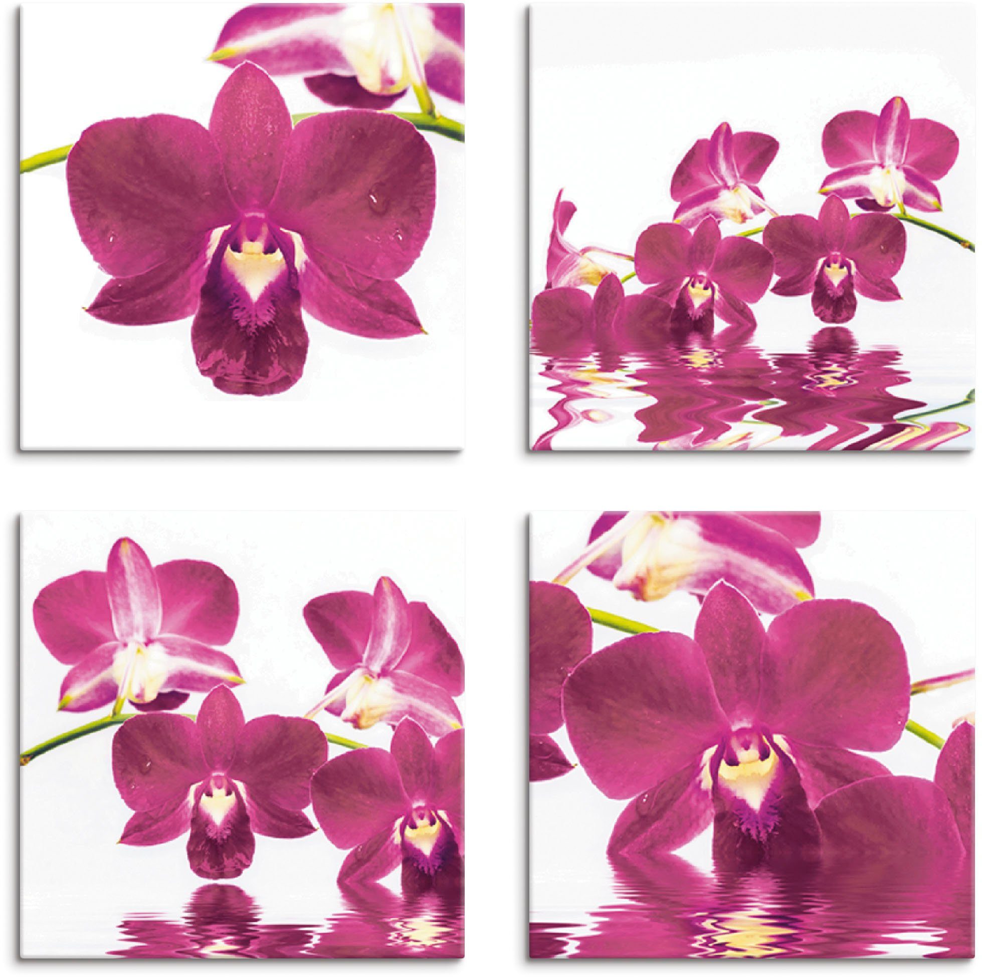 Artland Leinwandbild Phalaenopsis Orchidee, Blumen (4 St), 4er Set, verschiedene Größen