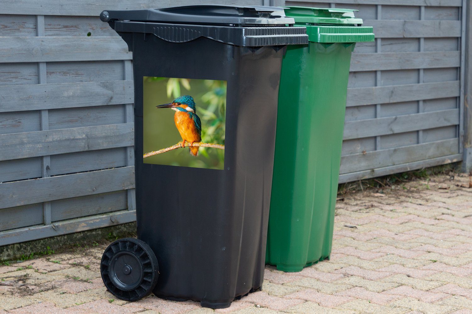 MuchoWow Wandsticker Vogel Blätter St), - - Mülltonne, Moos Container, (1 Zweig Sticker, - Eisvogel Mülleimer-aufkleber, - Abfalbehälter