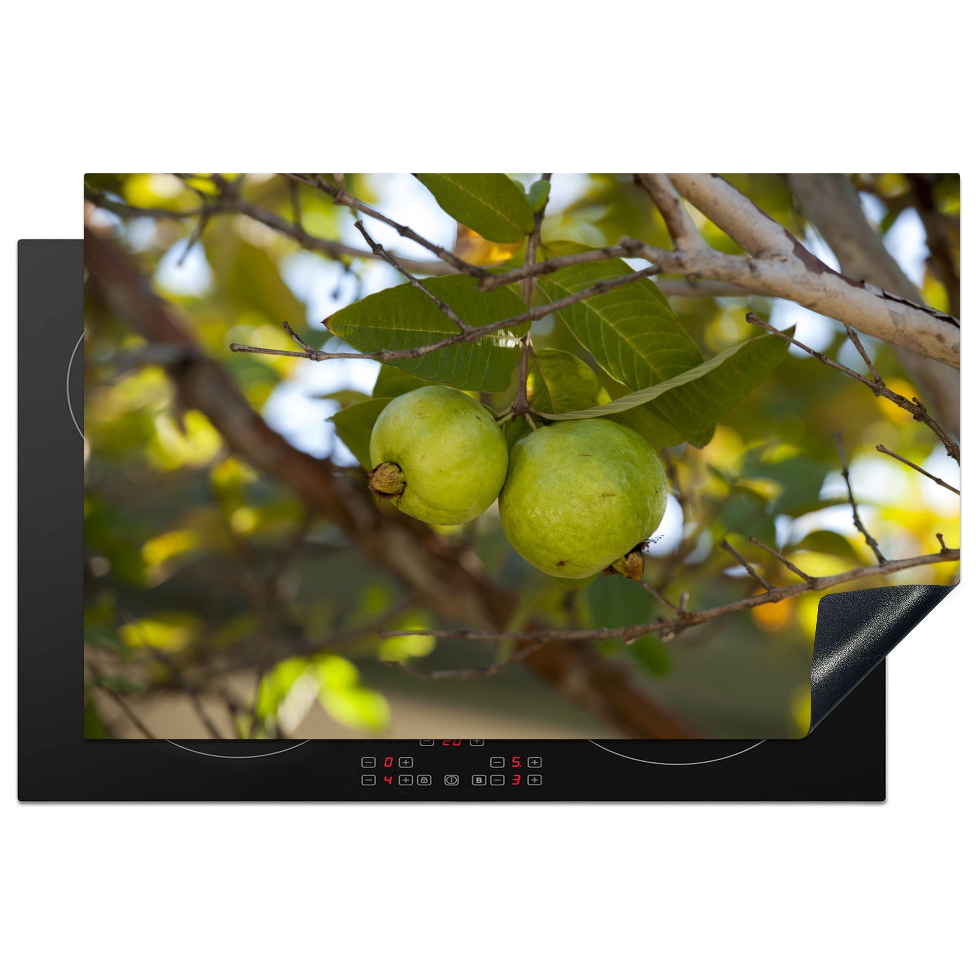 Ceranfeldabdeckung Guavenfrucht, Guavenbaum Vinyl, von Induktionskochfeld cm, die Herdblende-/Abdeckplatte für MuchoWow und tlg), 81x52 Schutz küche, Nahaufnahme (1