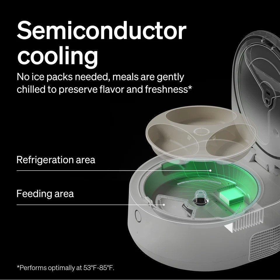 Petlibro Katzen-Futterautomat, Weiß