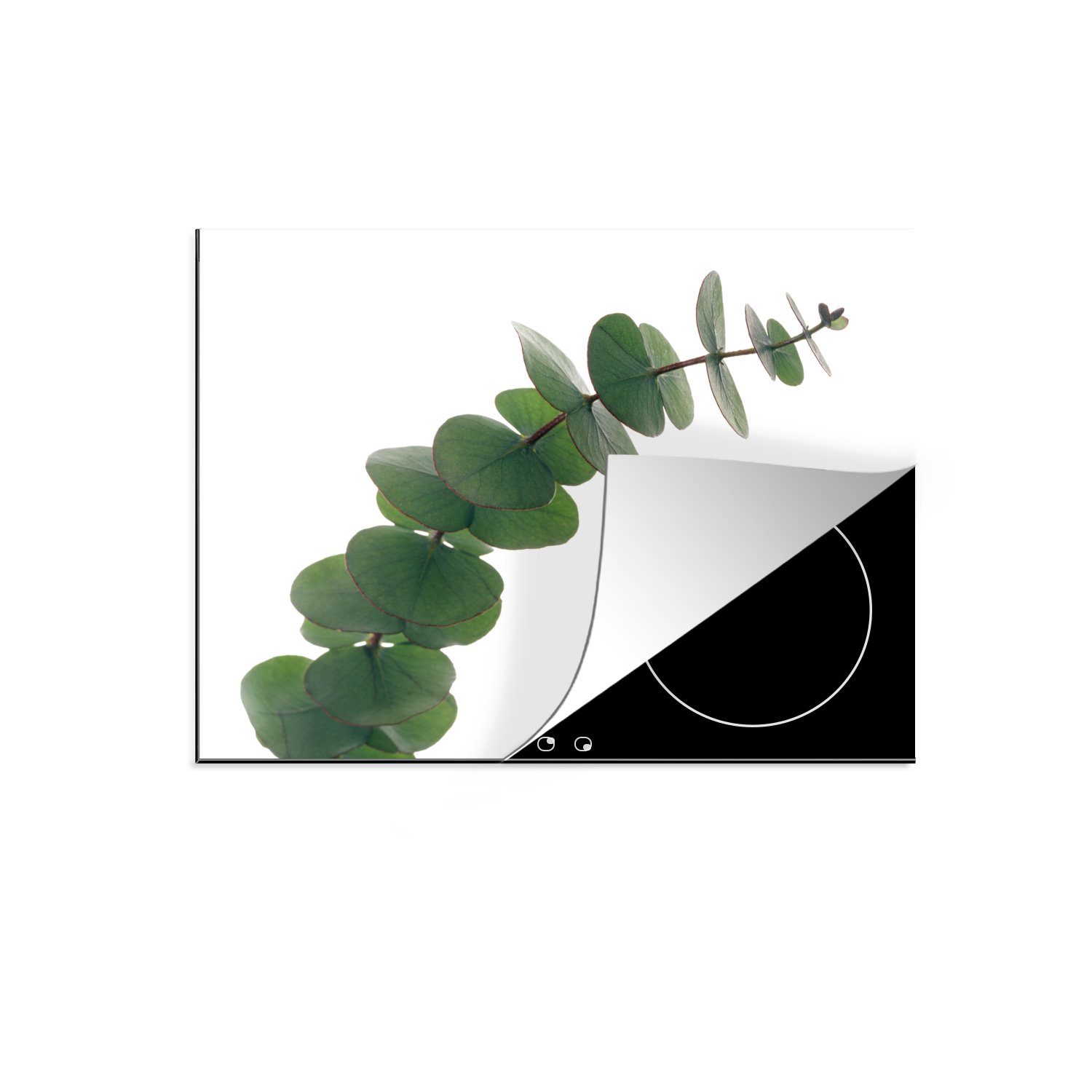 MuchoWow Herdblende-/Abdeckplatte Grüne Eukalyptusblätter, Vinyl, (1 tlg), 60x52 cm, Mobile Arbeitsfläche nutzbar, Ceranfeldabdeckung