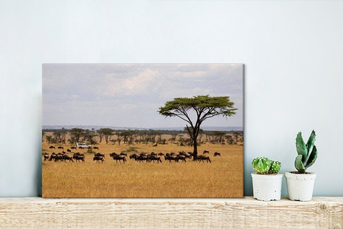 Leinwandbilder, Die OneMillionCanvasses® trockenen tansanischen Aufhängefertig, cm St), Leinwandbild Ebenen 30x20 Savanne im, Wandbild der Wanddeko, (1