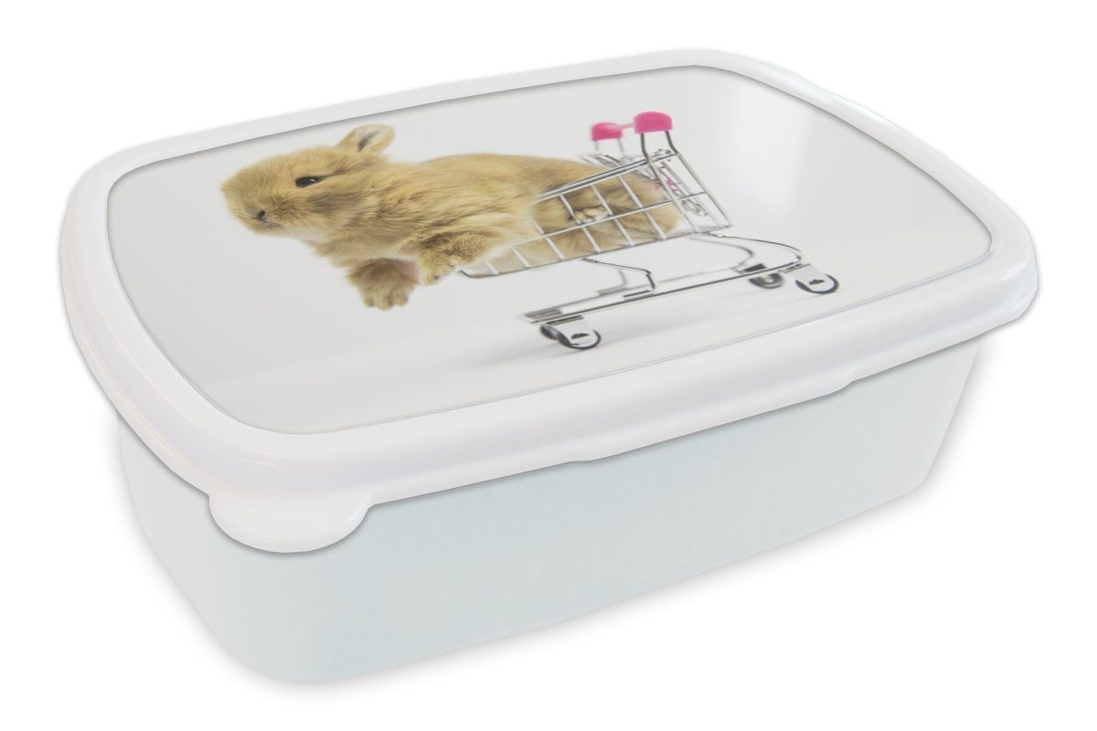 MuchoWow Lunchbox Kaninchen - Baby - Weiß, Kunststoff, (2-tlg), Brotbox für Kinder und Erwachsene, Brotdose, für Jungs und Mädchen