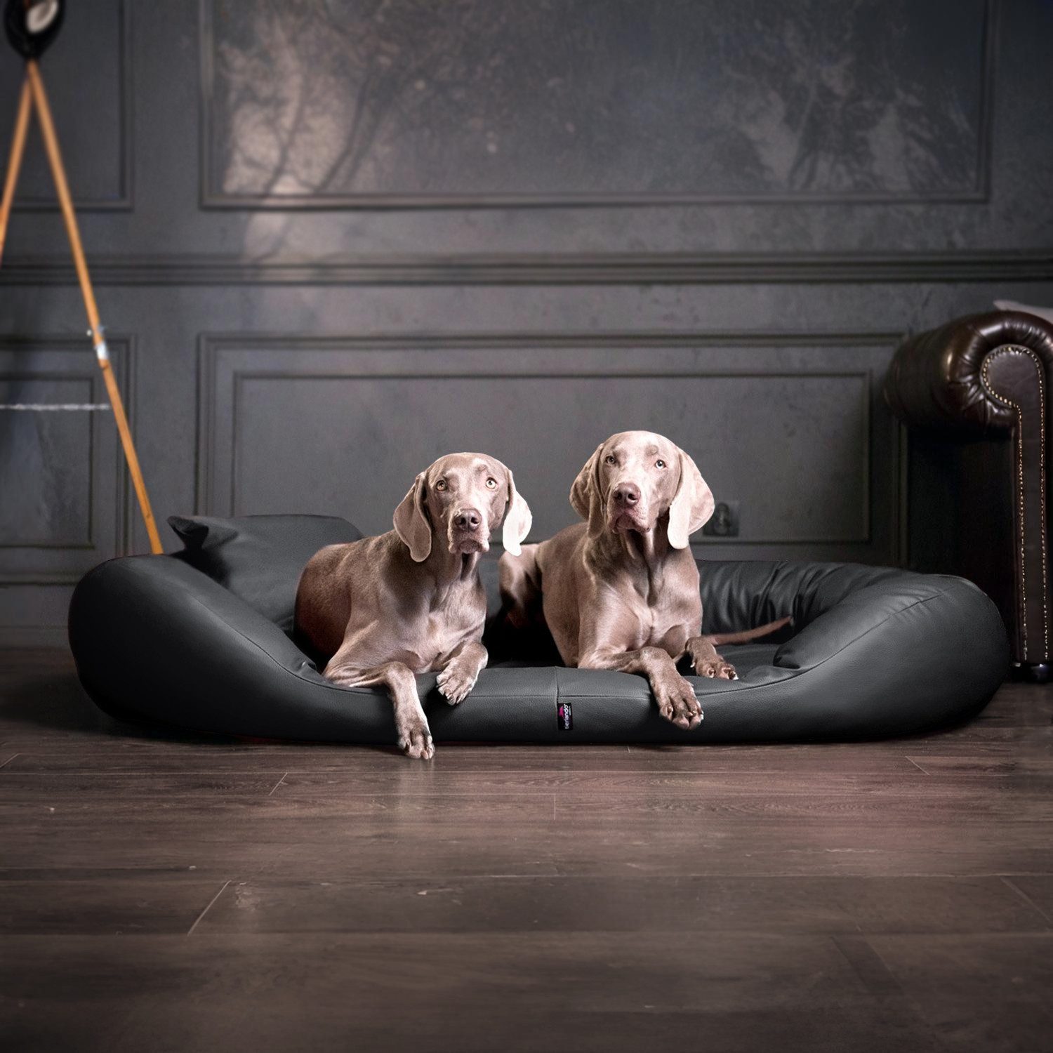 tierlando® Tierbett SAMMY EASY CLEAN Orthopädisches Hundebett, Abwischbar, günstig online kaufen