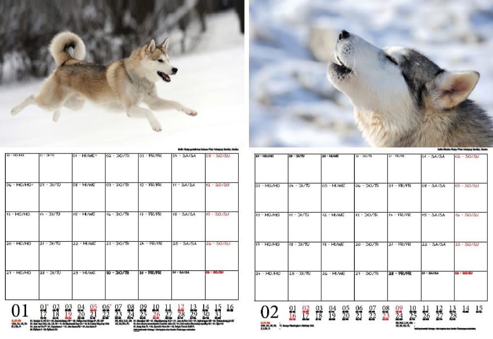 Thumbnail - Seelenzauber Wandkalender Huskyzauber Wand- Planer Kalender für 2025 DIN A4 Welpen und Hunde