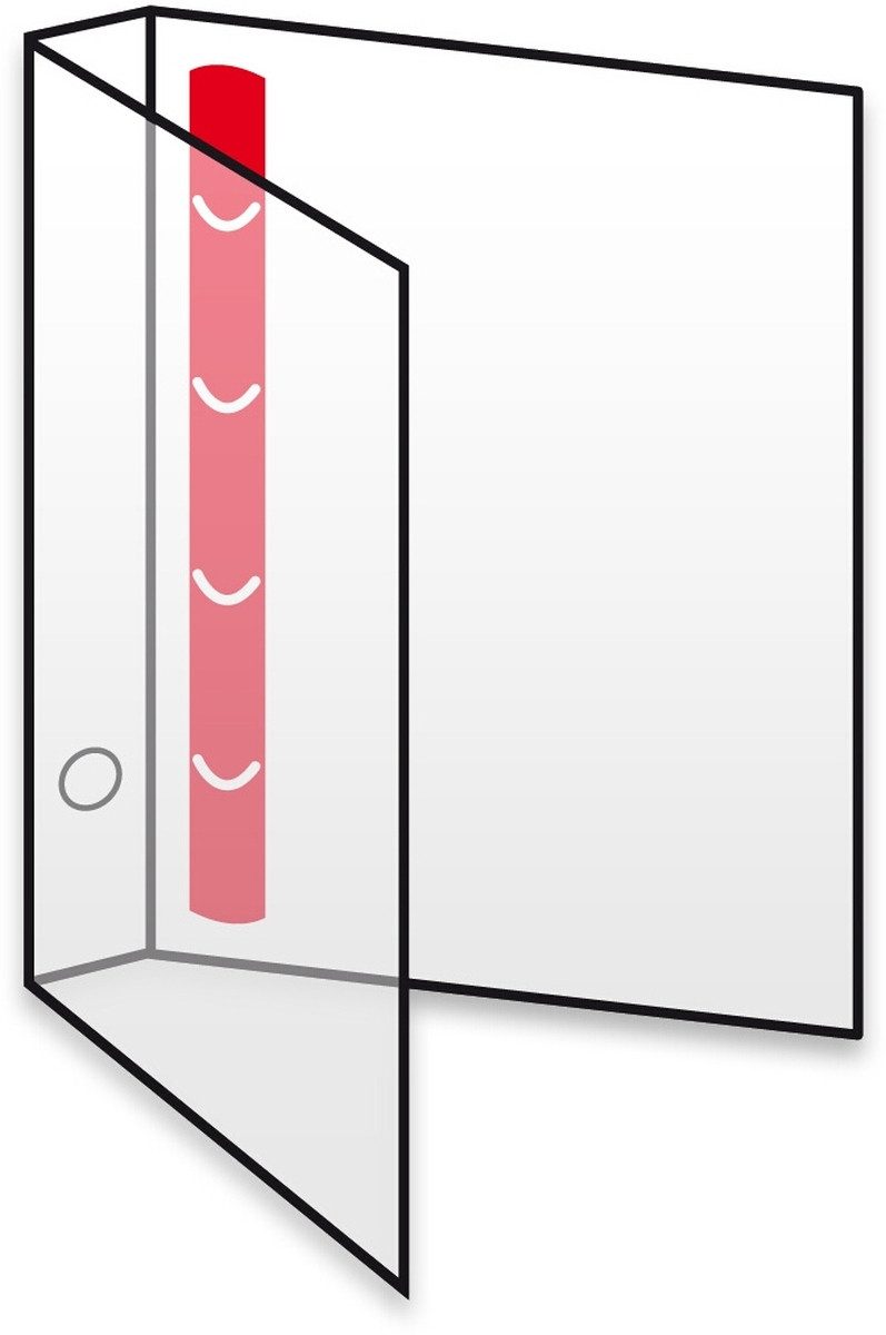 DATAPLUS Präsentationsordner Ringbuch A4, 4 Ringe 35mm PP natur-transparent