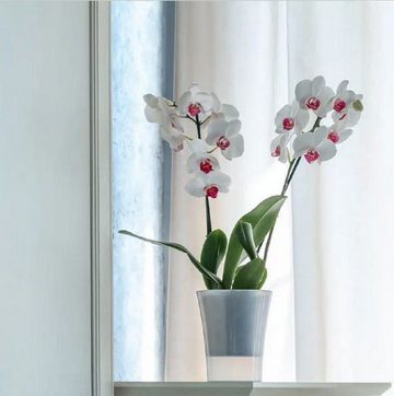 Santino Blumentopf "Arte-Dea" selbstbewässernd Pflanztopf in zwei Farben und Größen (1 St), UV-beständig, witterungsbeständig, nachhaltig