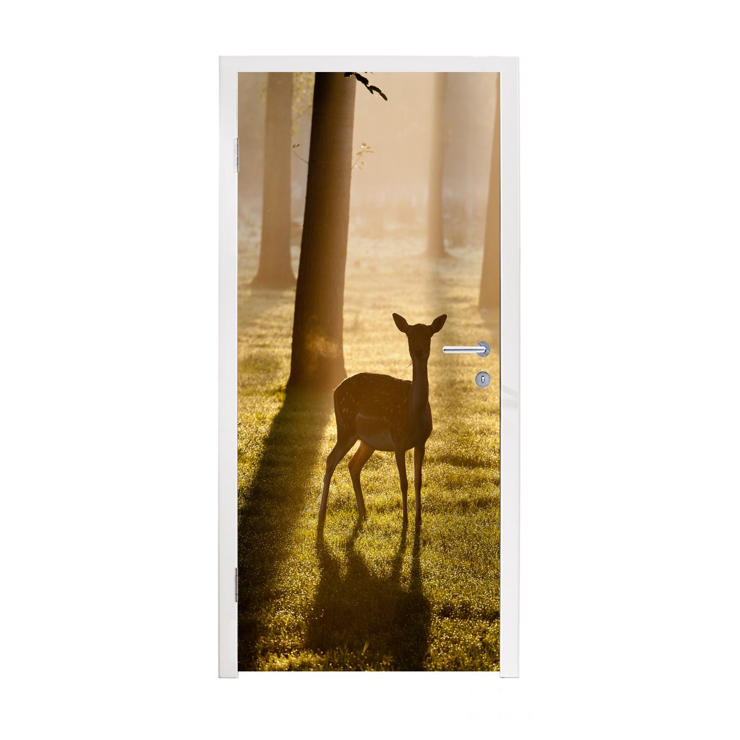 MuchoWow Türtapete Hirsche - Sonne - Bäume, Matt, bedruckt, (1 St), Fototapete für Tür, Türaufkleber, 75x205 cm