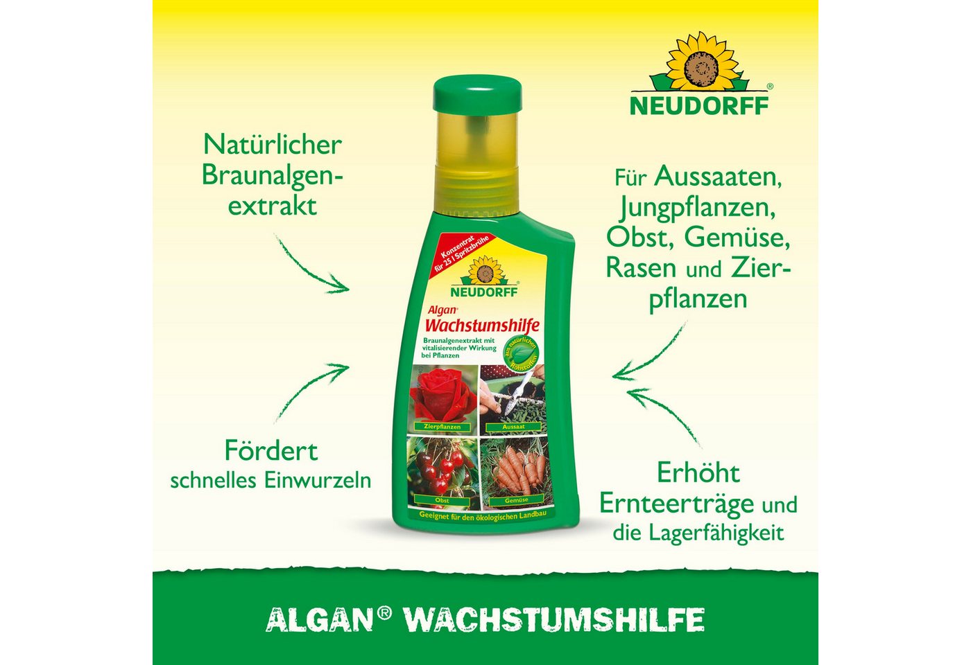 Thumbnail - Neudorff Pflanzenstärkungsmittel Algan Wachstumshilfe 250 ml, natürlicher Wurzelaktivator, gewonnen durch milden, Extrak...