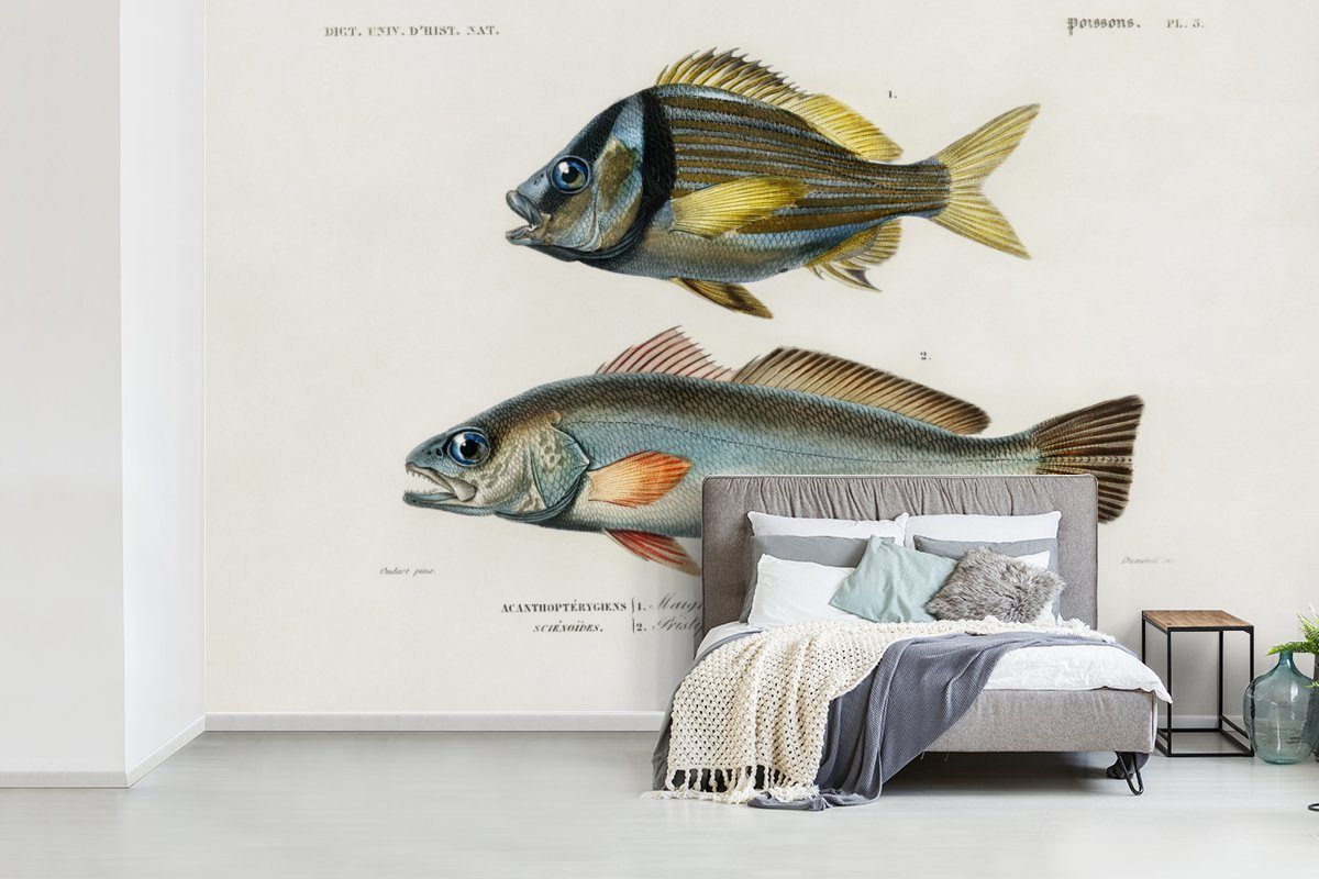 MuchoWow Fototapete Fisch Wandtapete - St), Jahrgang (7 bedruckt, Tapete - für Montagefertig Wohnzimmer, Vinyl Realismus, Matt
