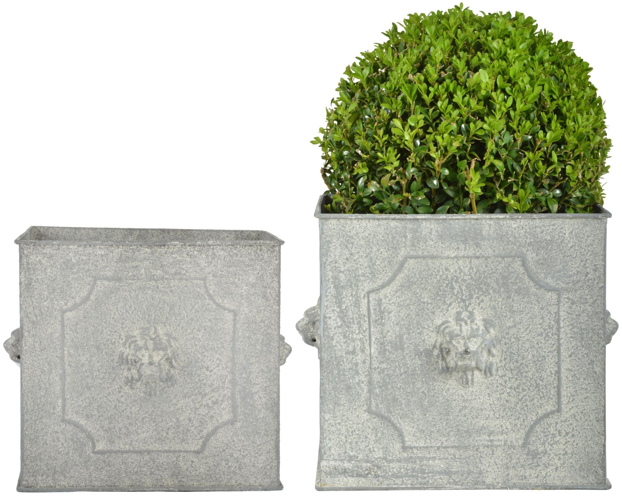 esschert design Blumentopf, AM Löwe, Aged günstig online kaufen