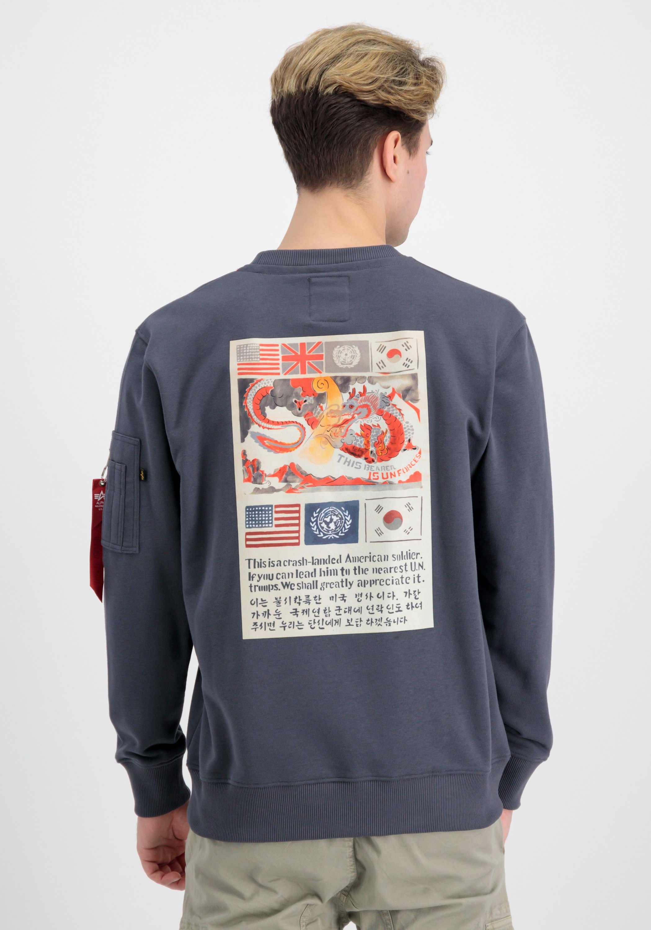 Alpha Industries Sweater Alpha Industries Men - Sweatshirts USN Blood Chit Sweater greyblack