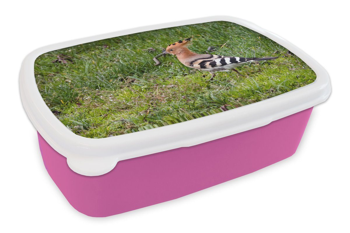 MuchoWow Lunchbox Hüpft mit einer Beute im Maul und läuft über den Rasen, Kunststoff, (2-tlg), Brotbox für Erwachsene, Brotdose Kinder, Snackbox, Mädchen, Kunststoff rosa