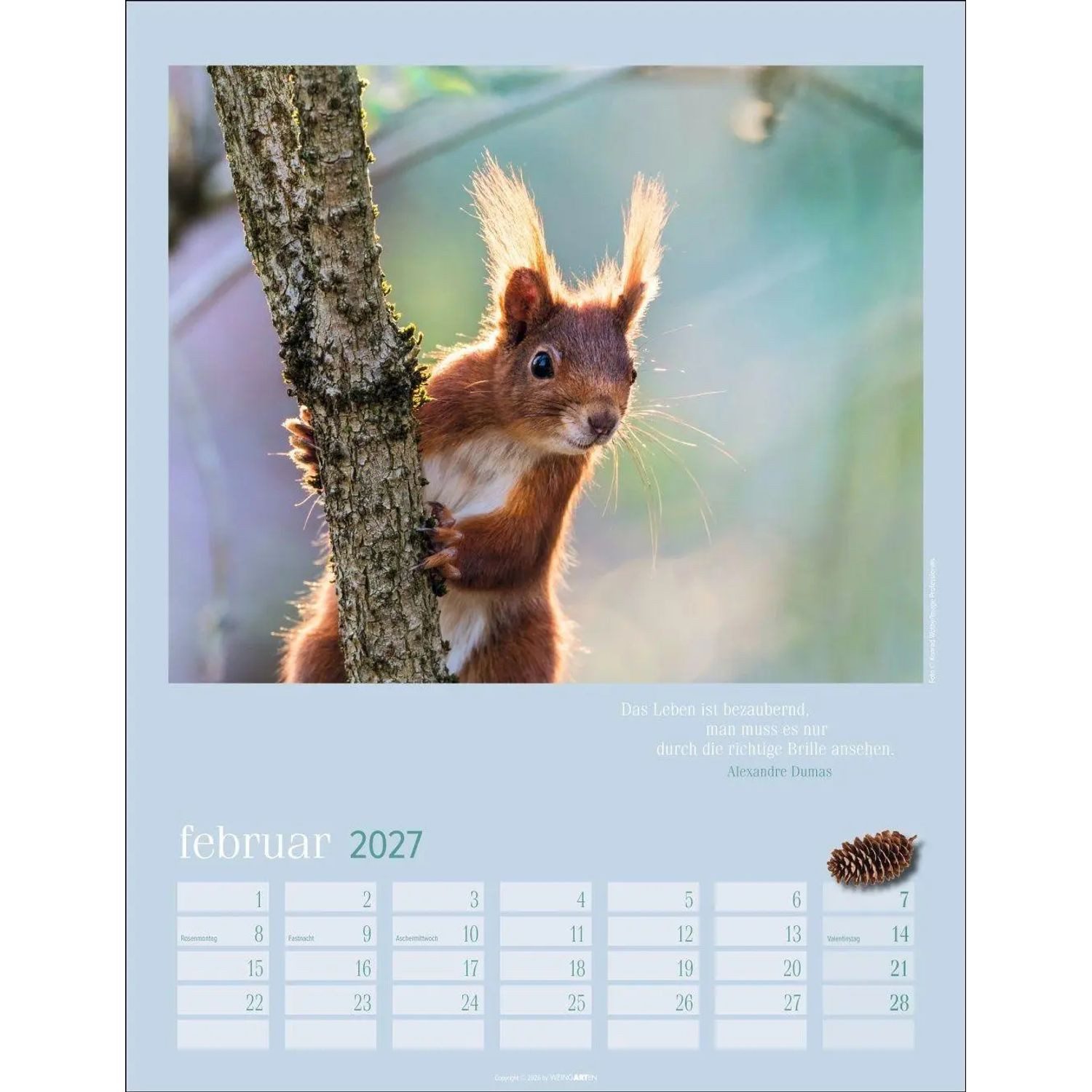 Wandkalender Eichhörnchen Kalender 2027