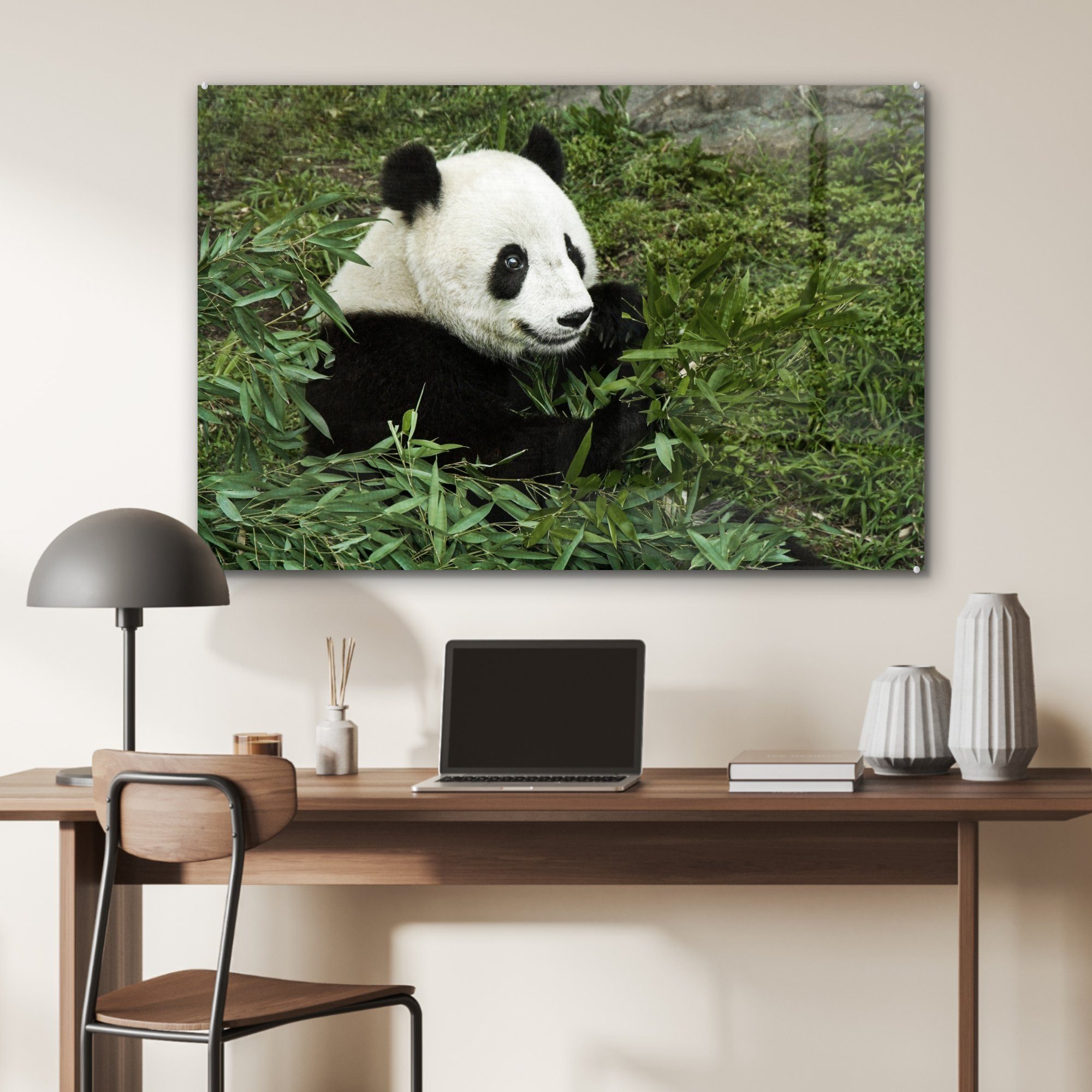 Panda Acrylglasbilder Pflanze, - Wohnzimmer St), MuchoWow & Bambus - Acrylglasbild (1 Schlafzimmer