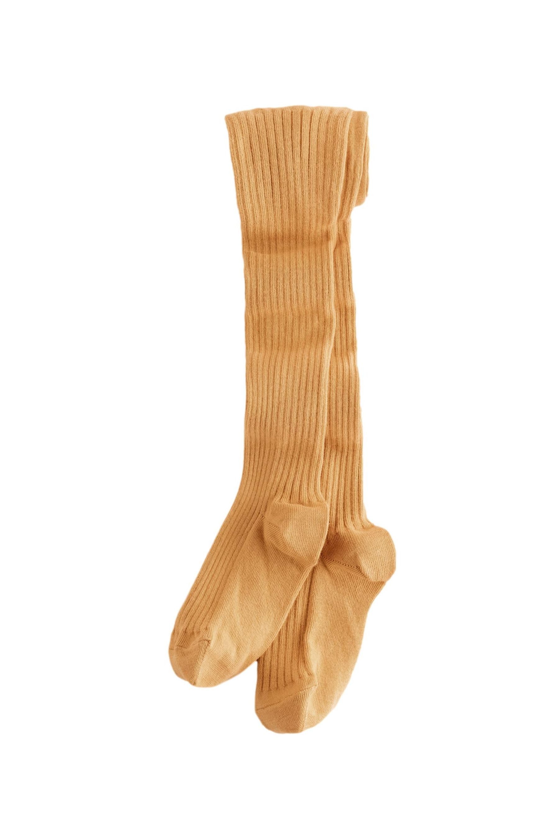 Next Strumpfhose Gerippte Strumpfhose mit hohem Baumwollanteil (1 St)