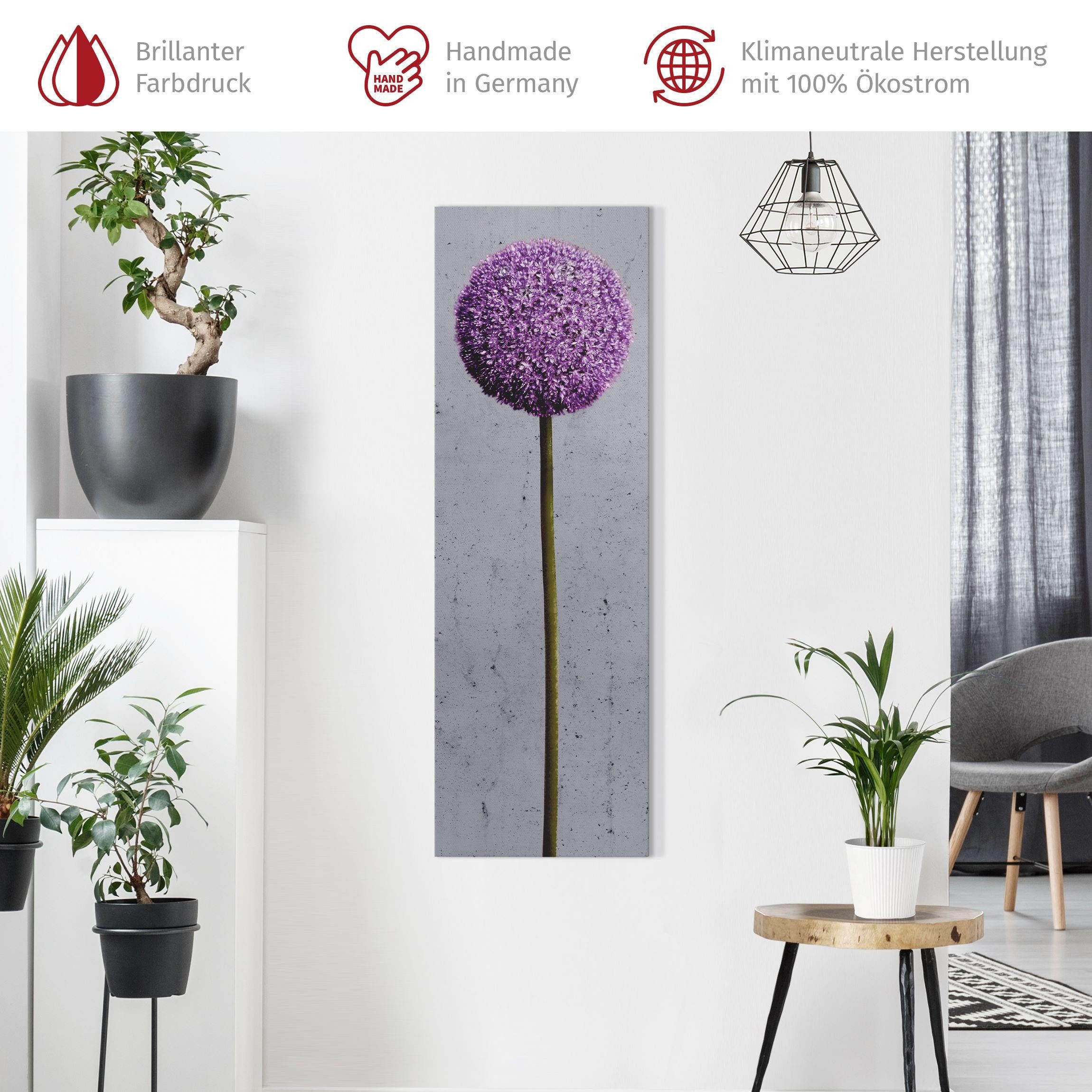 Bilderdepot24 Leinwandbild Blumen Modern Natur Allium Kugel-Blüten lila Bil günstig online kaufen