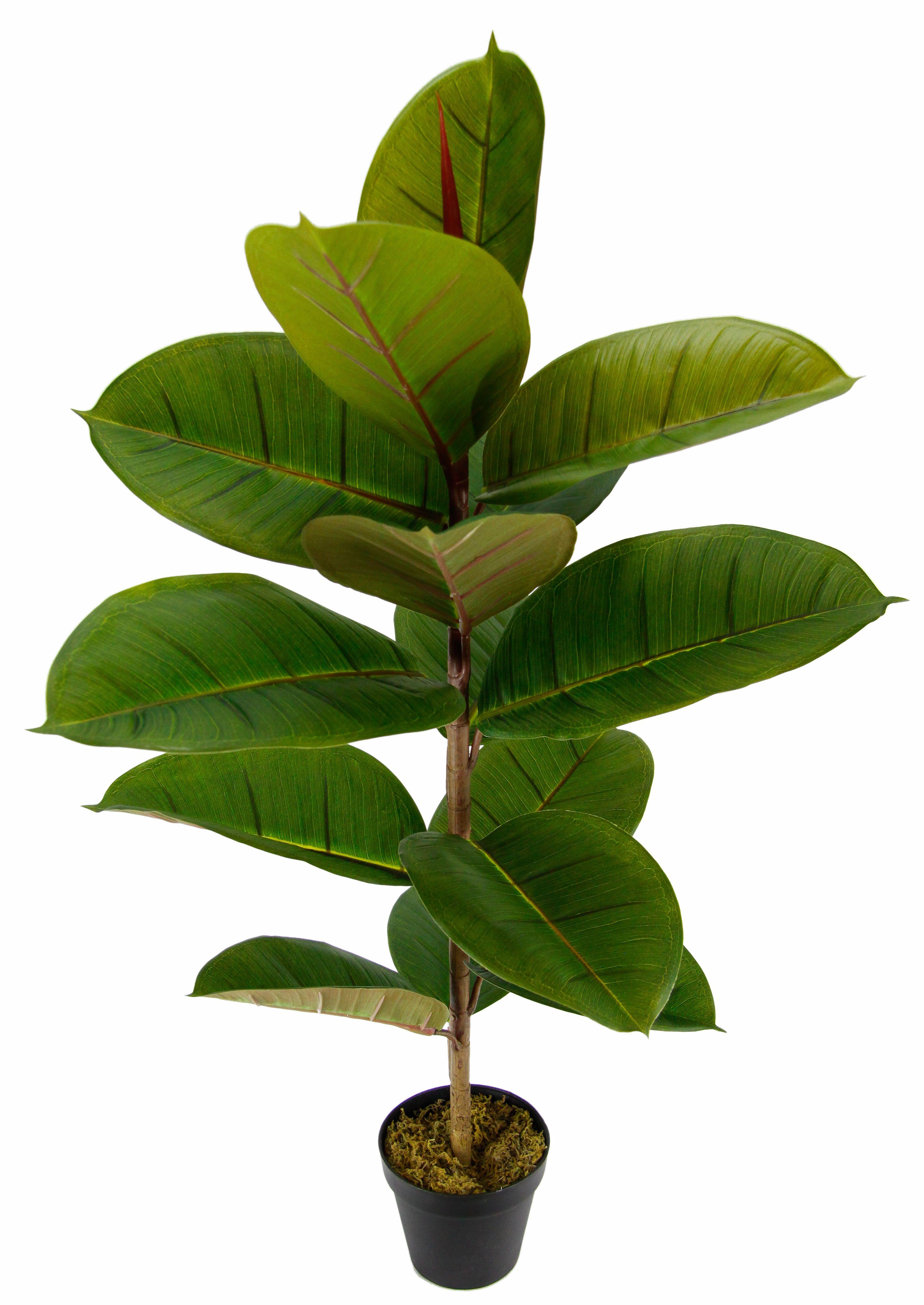 Künstliche Zimmerpflanze Gummibaum, I.GE.A., Höhe 84 cm | Kunstpflanzen