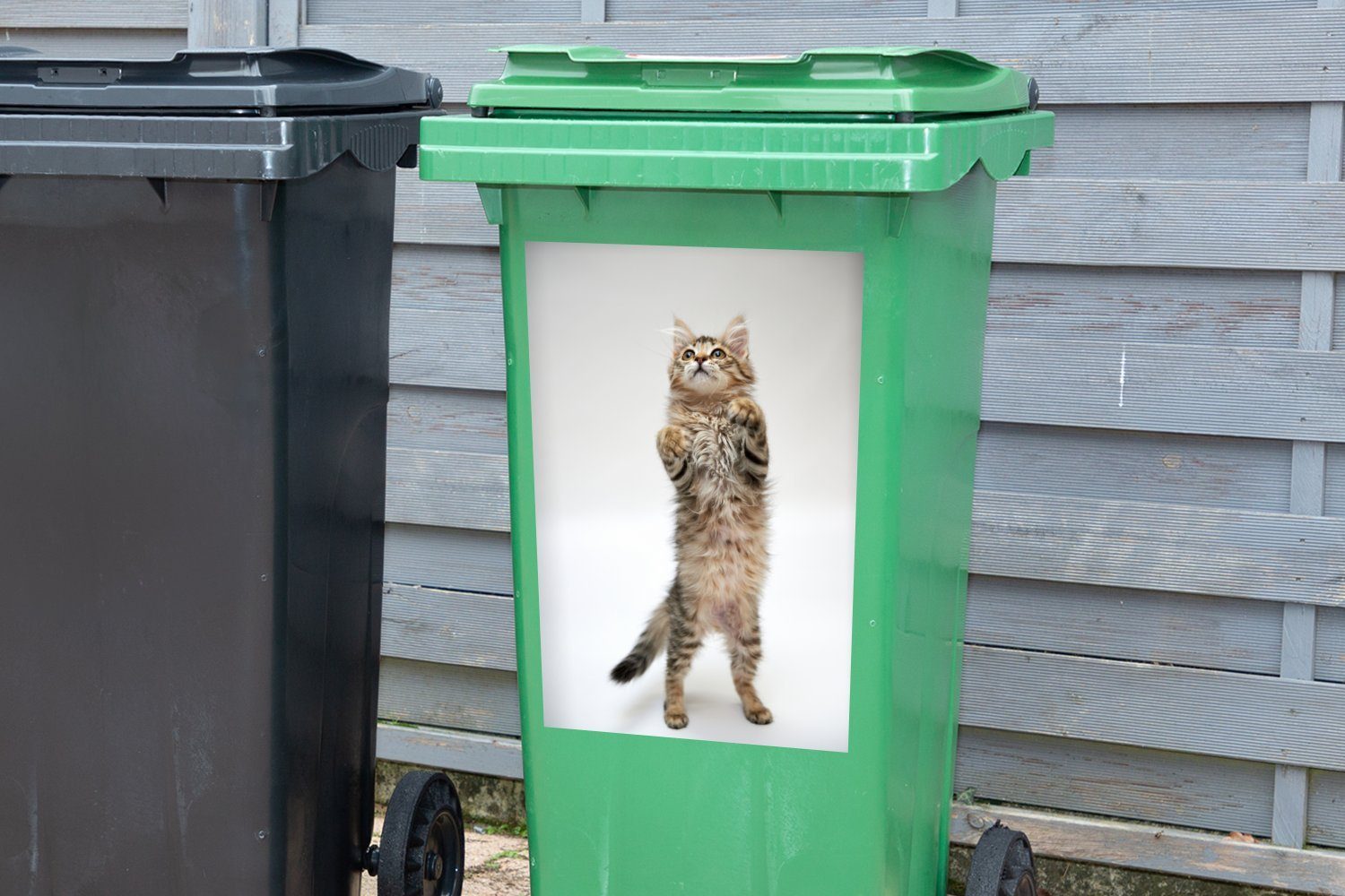 Wandsticker Abfalbehälter (1 vor Mülltonne, Hinterbeinen Sticker, stehendes weißen Container, Mülleimer-aufkleber, St), MuchoWow einem Kätzchen den Hintergrund Auf