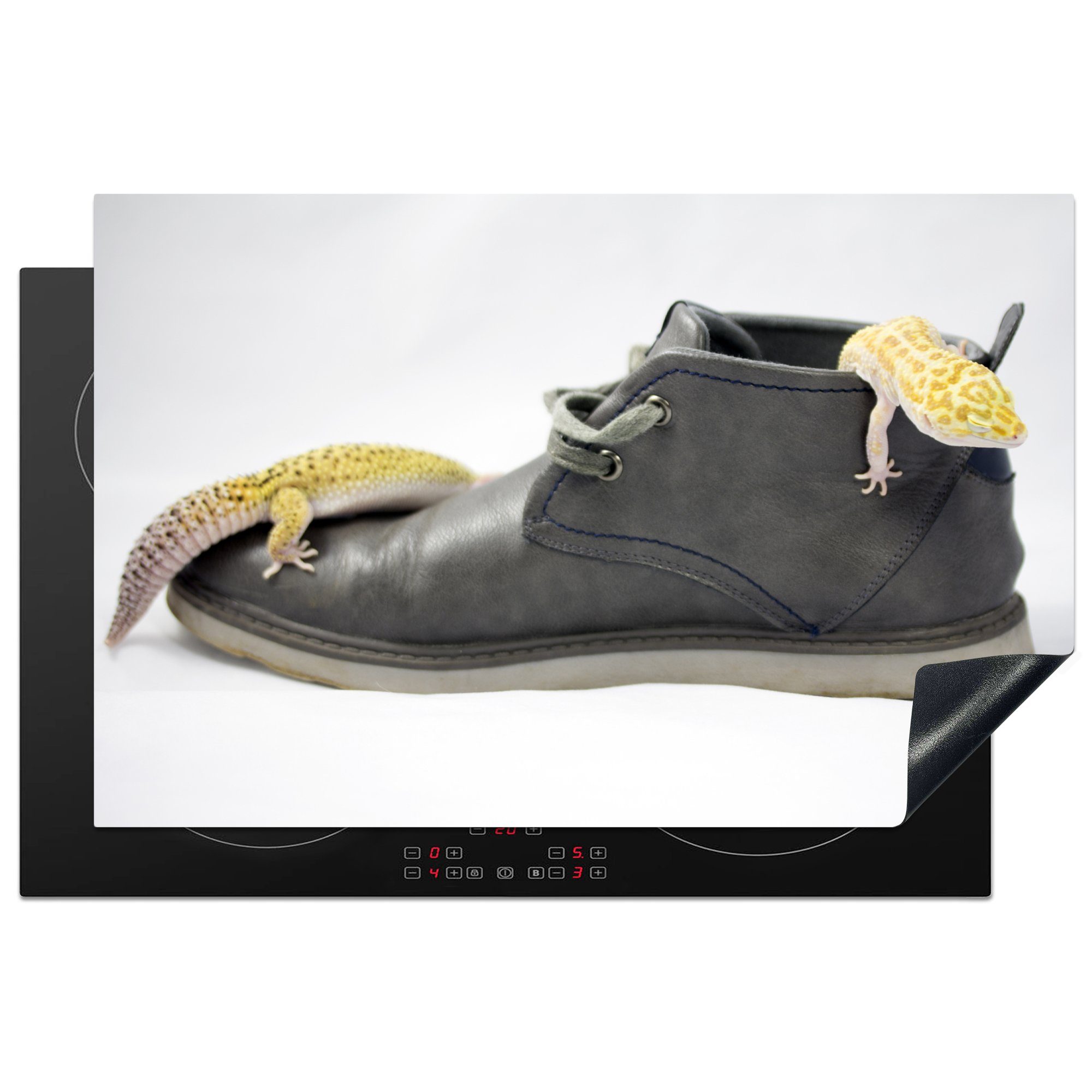 MuchoWow Herdblende-/Abdeckplatte Geckos in einem Schuh, Vinyl, (1 tlg), 81x52 cm, Induktionskochfeld Schutz für die küche, Ceranfeldabdeckung