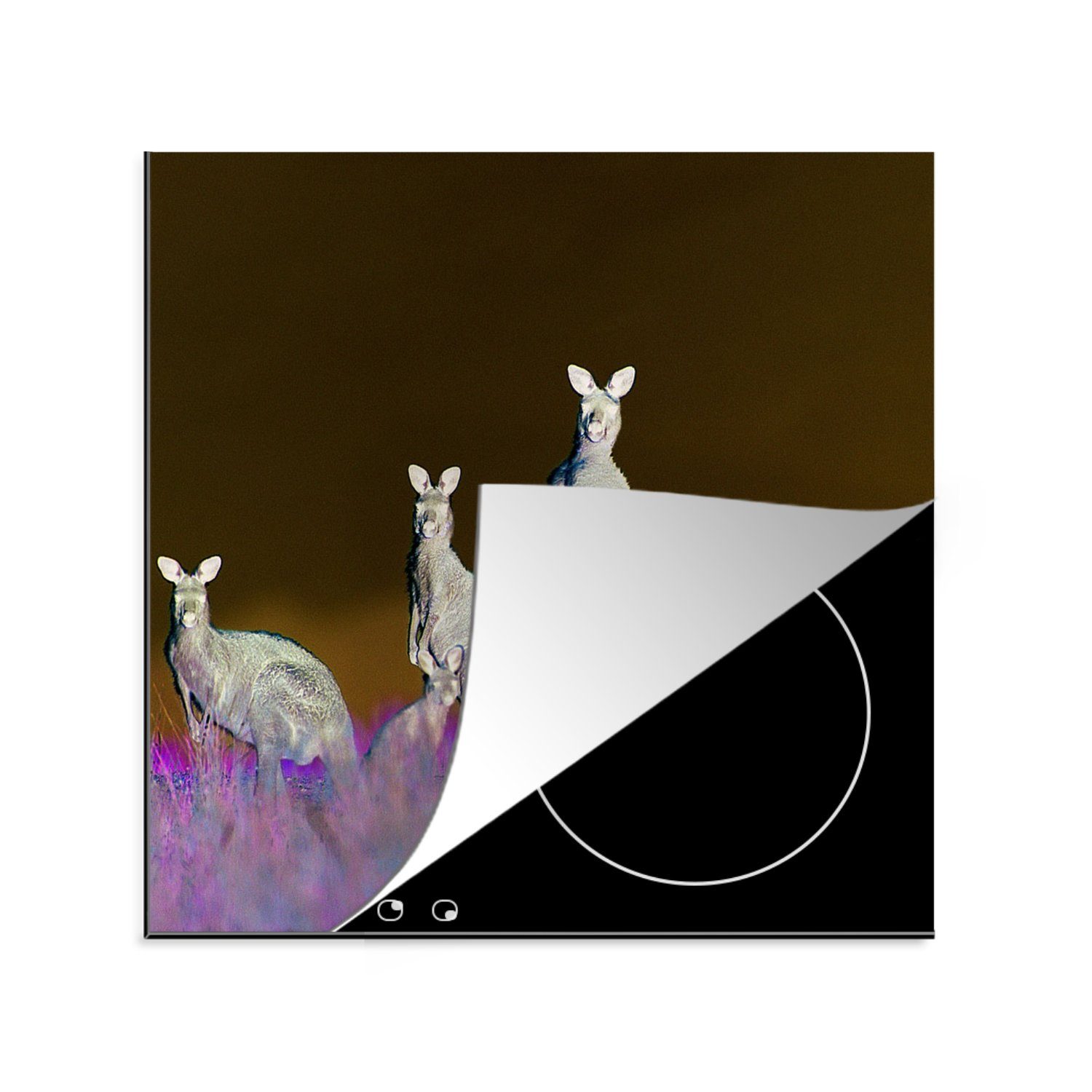 MuchoWow Herdblende-/Abdeckplatte Känguru - Tiere - Gras, Vinyl, (1 tlg), 78x78 cm, Ceranfeldabdeckung, Arbeitsplatte für küche