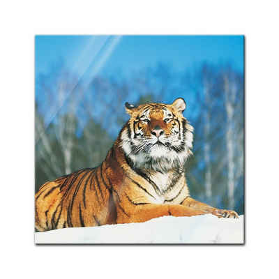 Bilderdepot24 Glasbild, Glasbild - Tiger im Schnee