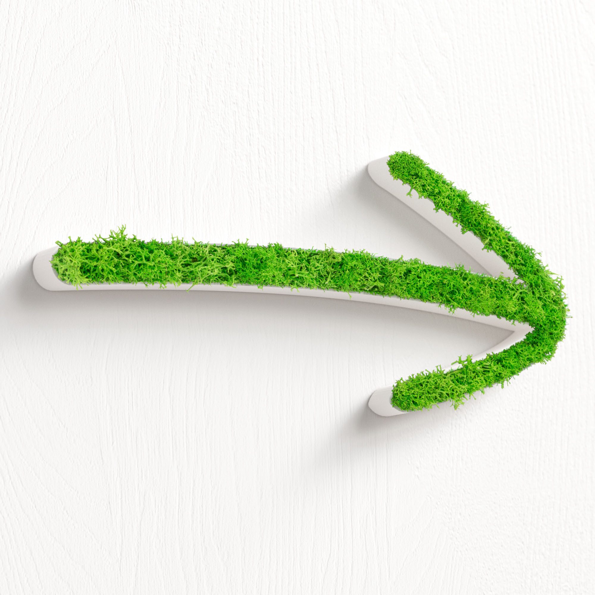 Mooswerk Wandhalterung MOOSWERK Moos WC Schild Pfeil Set Toilettenschild Wegweiser