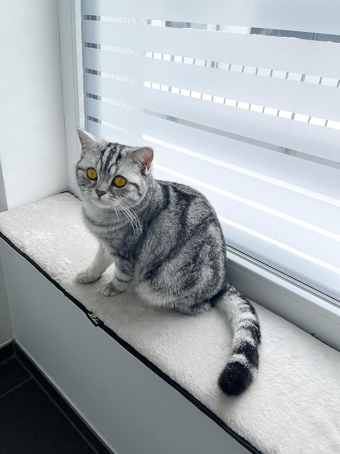 Ollesch Katzenliege Fensterbankauflage für Katzen 90 günstig online kaufen