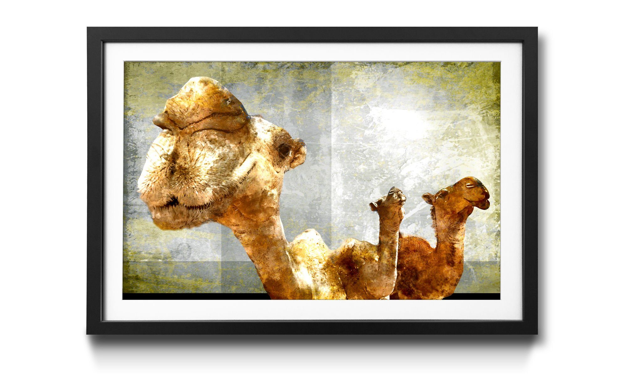 WandbilderXXL Kunstdruck Camel Größen in erhältlich Gang, 4 Kamel, Wandbild