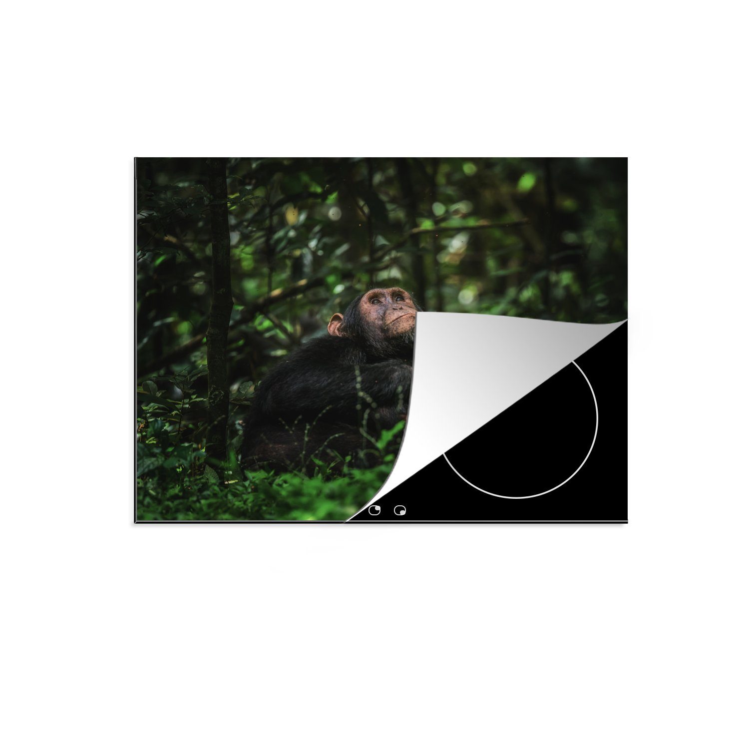 MuchoWow Herdblende-/Abdeckplatte App zwischen Grünpflanzen im Dschungel, Vinyl, (1 tlg), 70x52 cm, Mobile Arbeitsfläche nutzbar, Ceranfeldabdeckung