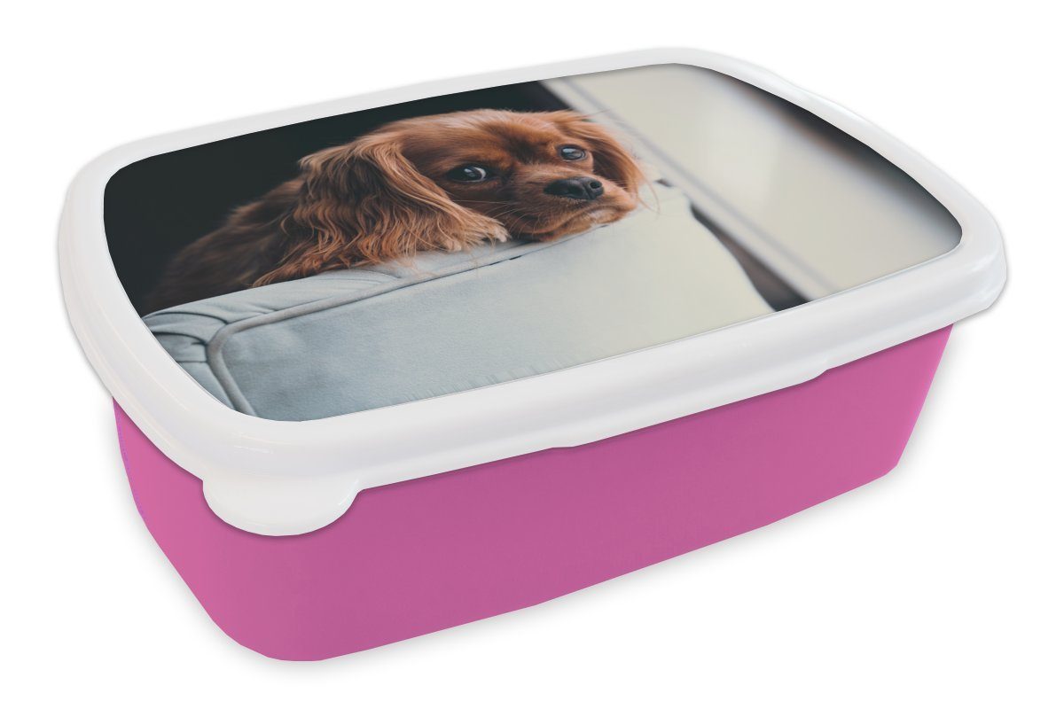 MuchoWow Lunchbox Hund - Stuhl - Kopf, Kunststoff, (2-tlg), Brotbox für Erwachsene, Brotdose Kinder, Snackbox, Mädchen, Kunststoff rosa