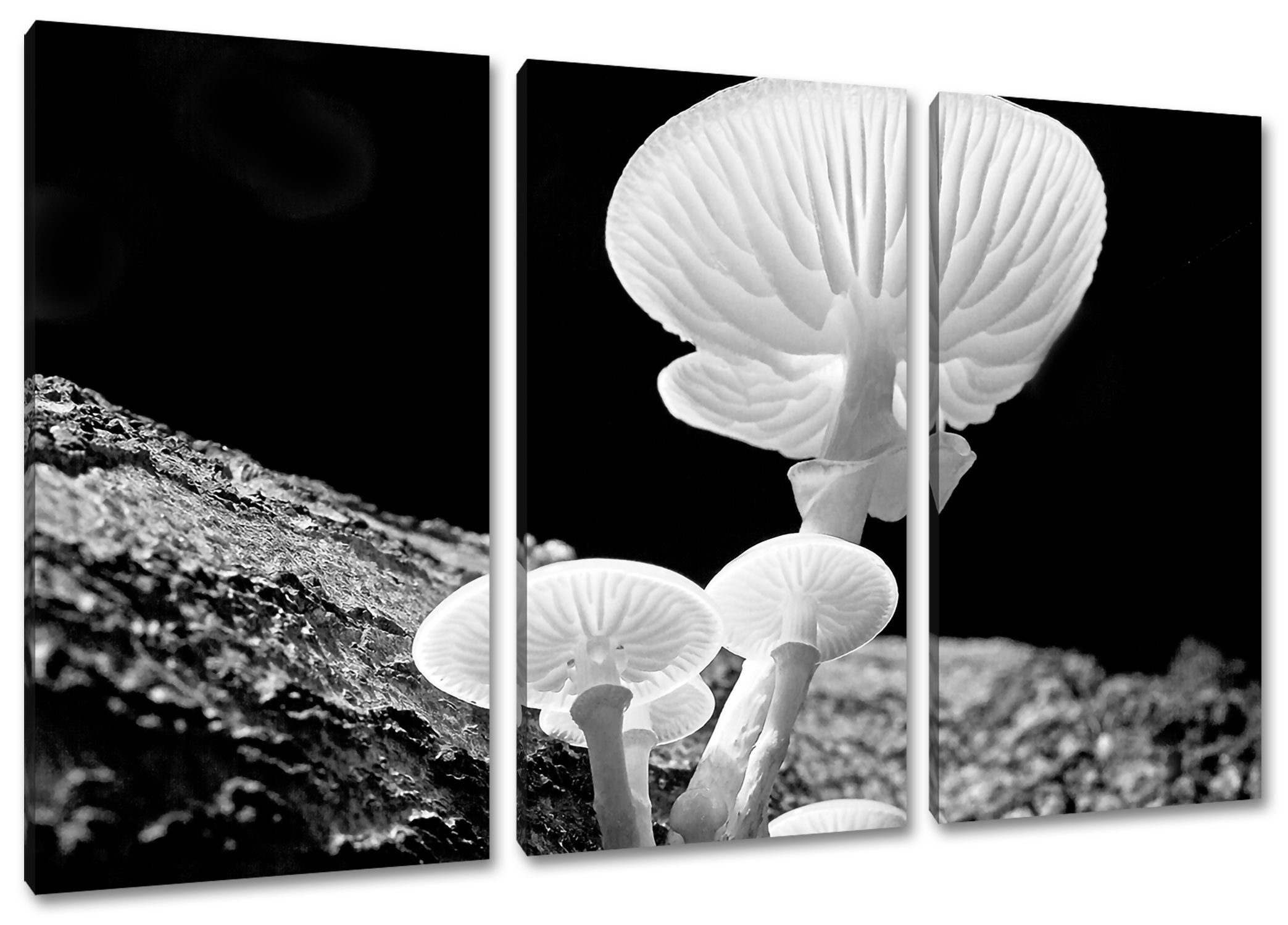 Pixxprint Leinwandbild Dark weiße Pilze, Dark weiße Pilze 3Teiler (120x80cm) (1 St), Leinwandbild fertig bespannt, inkl. Zackenaufhänger