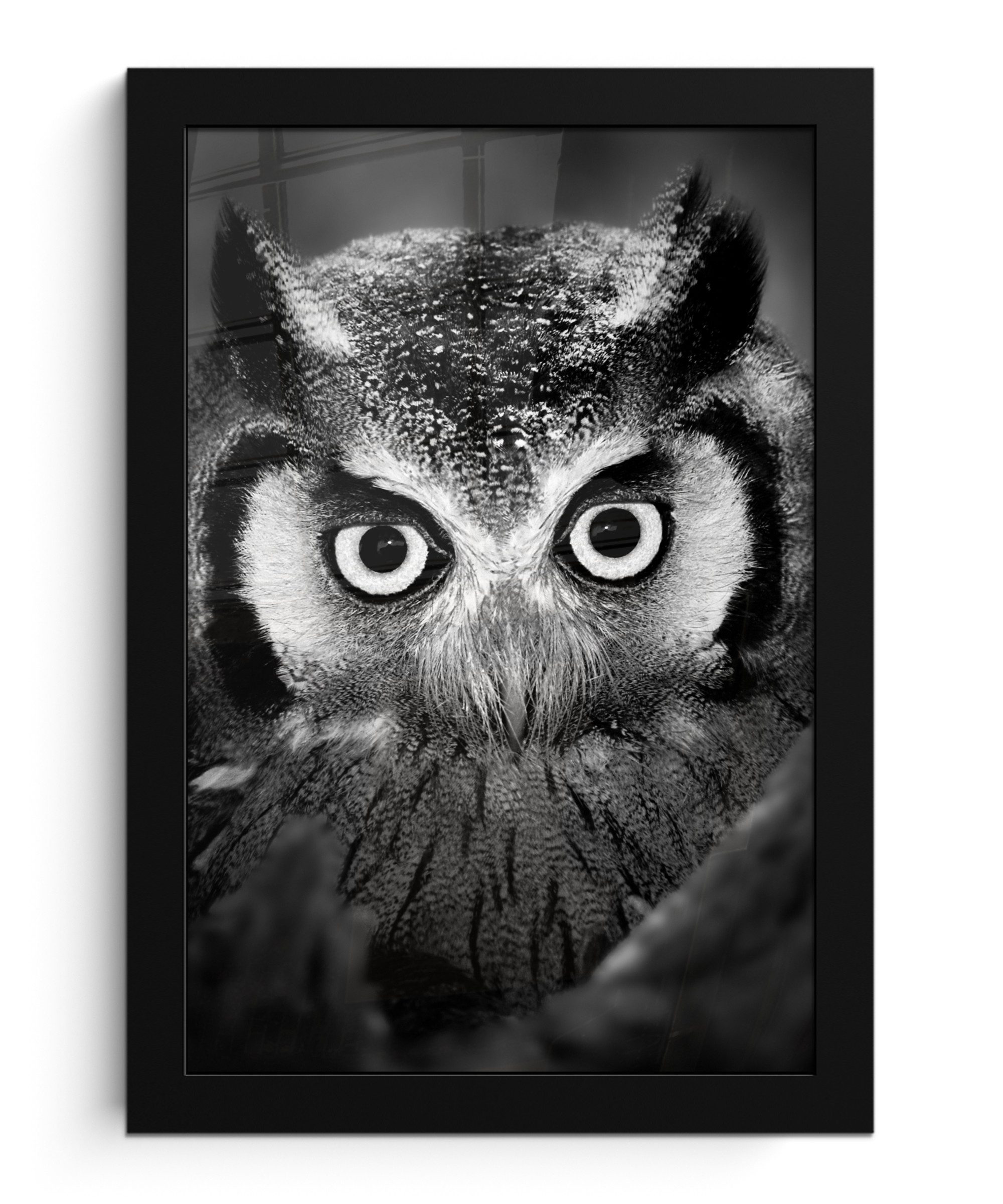 MuchoWow Poster Vogel - Eule - Porträt - Schwarz - Weiß, (1 St), Bilderrahmen, Zimmer Deko, Bild für Wohnzimmer, 20x30 cm