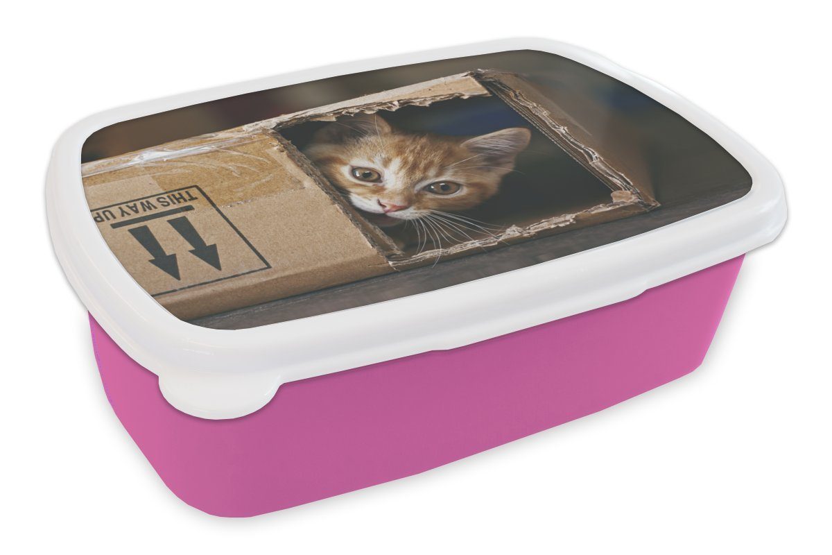 MuchoWow Lunchbox Kätzchen - Box - Spielen, Kunststoff, (2-tlg), Brotbox für Erwachsene, Brotdose Kinder, Snackbox, Mädchen, Kunststoff rosa