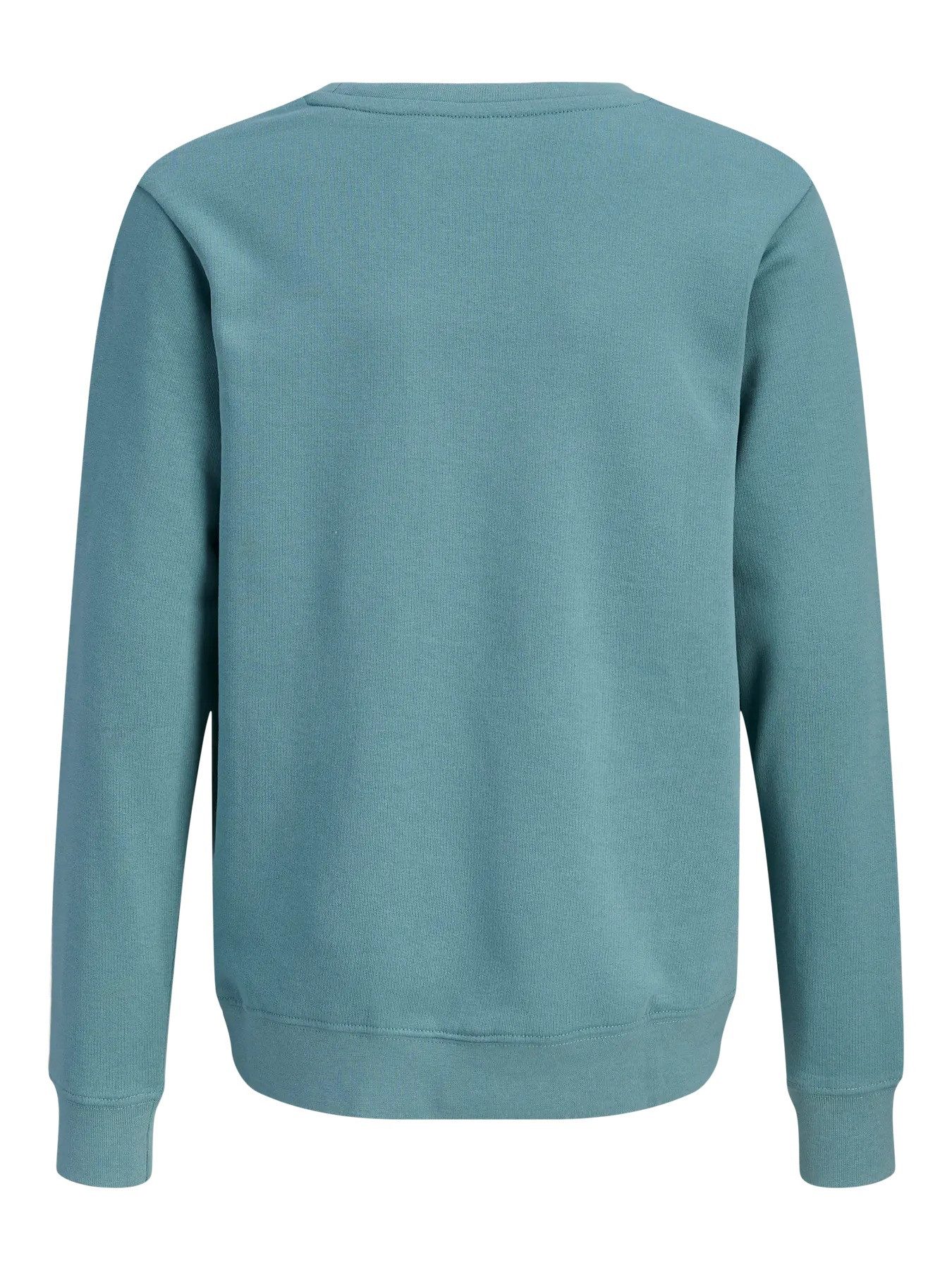 Jack & Jones Junior Sweatshirt JJCOLE PRINT SWEAT CREW MNI