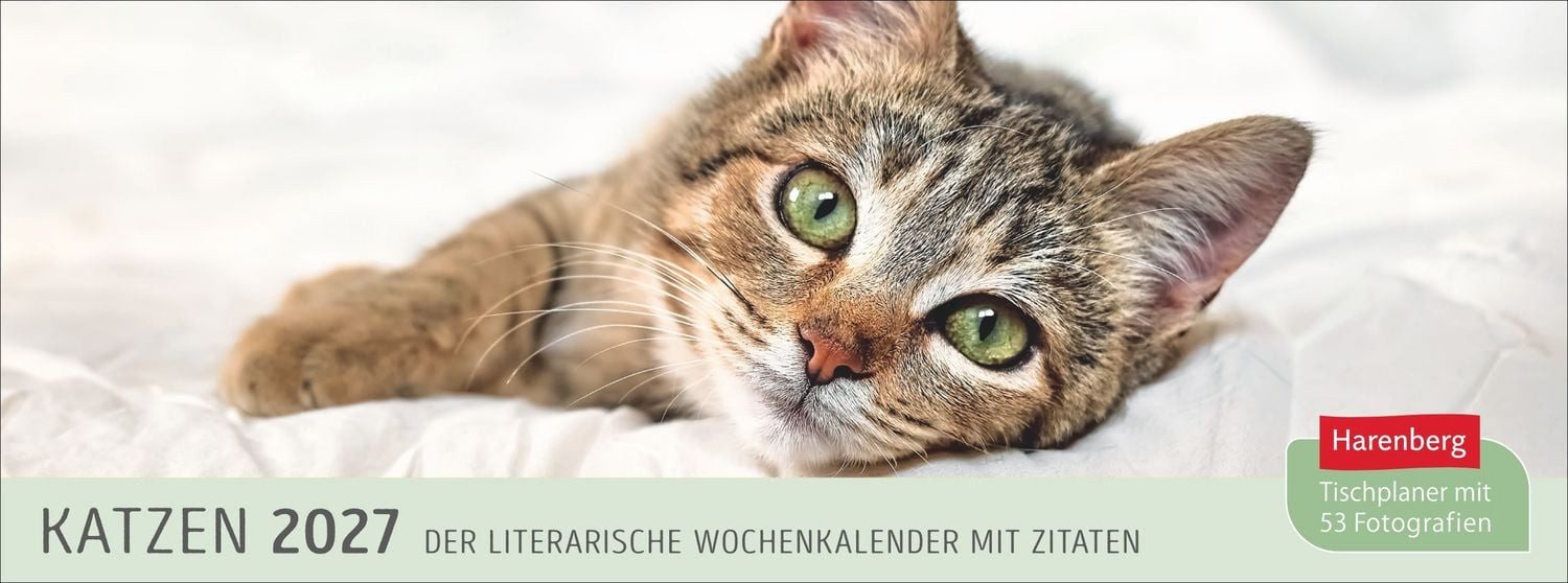 Harenberg Kalender Verlag Tischkalender Katzen Premium-Tischplaner 2027 - Der literarische Wochenkalender mit