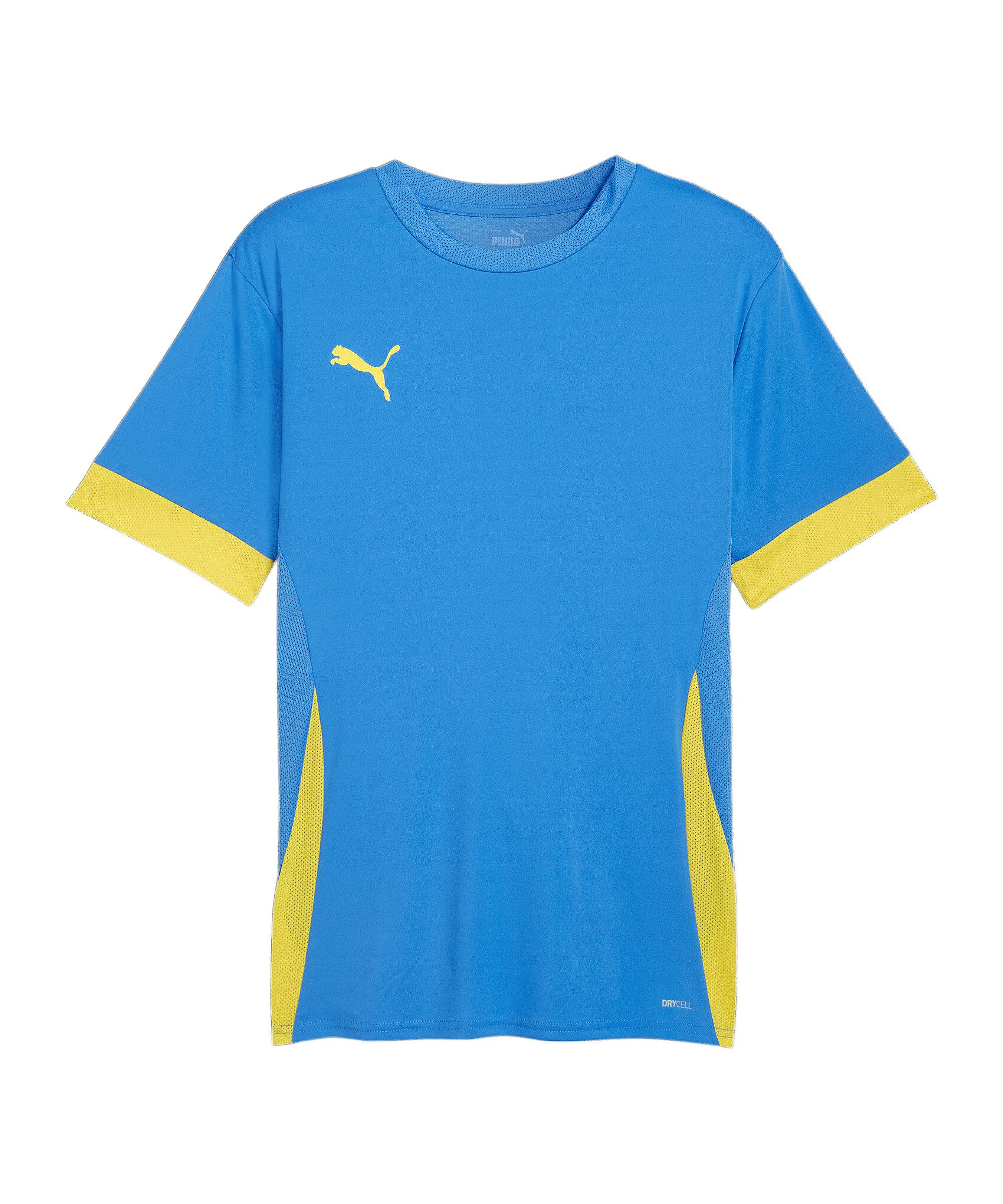 PUMA Fußballtrikot PUMA teamGOAL Matchday Trikot Trikots Herren Teamsport