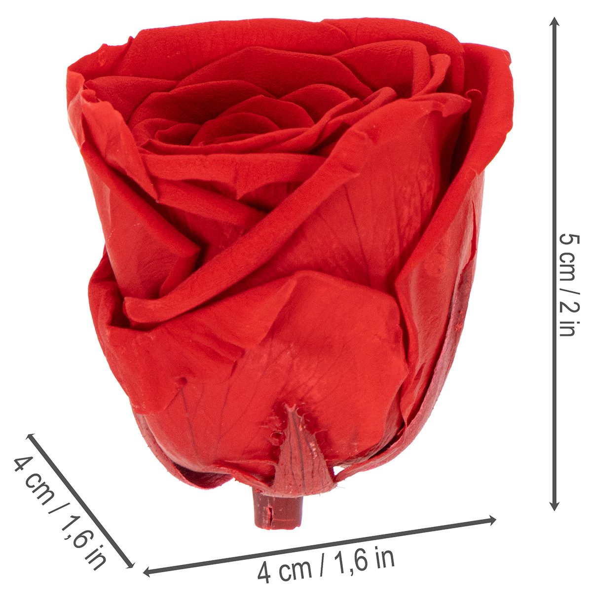 Kunstblume Romantische Deko-Rosen für besondere Anlässe und stilvolle, 6 Stück, Florists Products, Höhe 5 cm