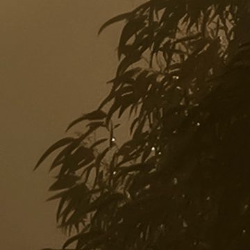 Komar Fototapete Vlies Fototapete - Foggy Sunshine - Größe 400 x 250 cm, glatt, bedruckt, (Packung, 1 St)