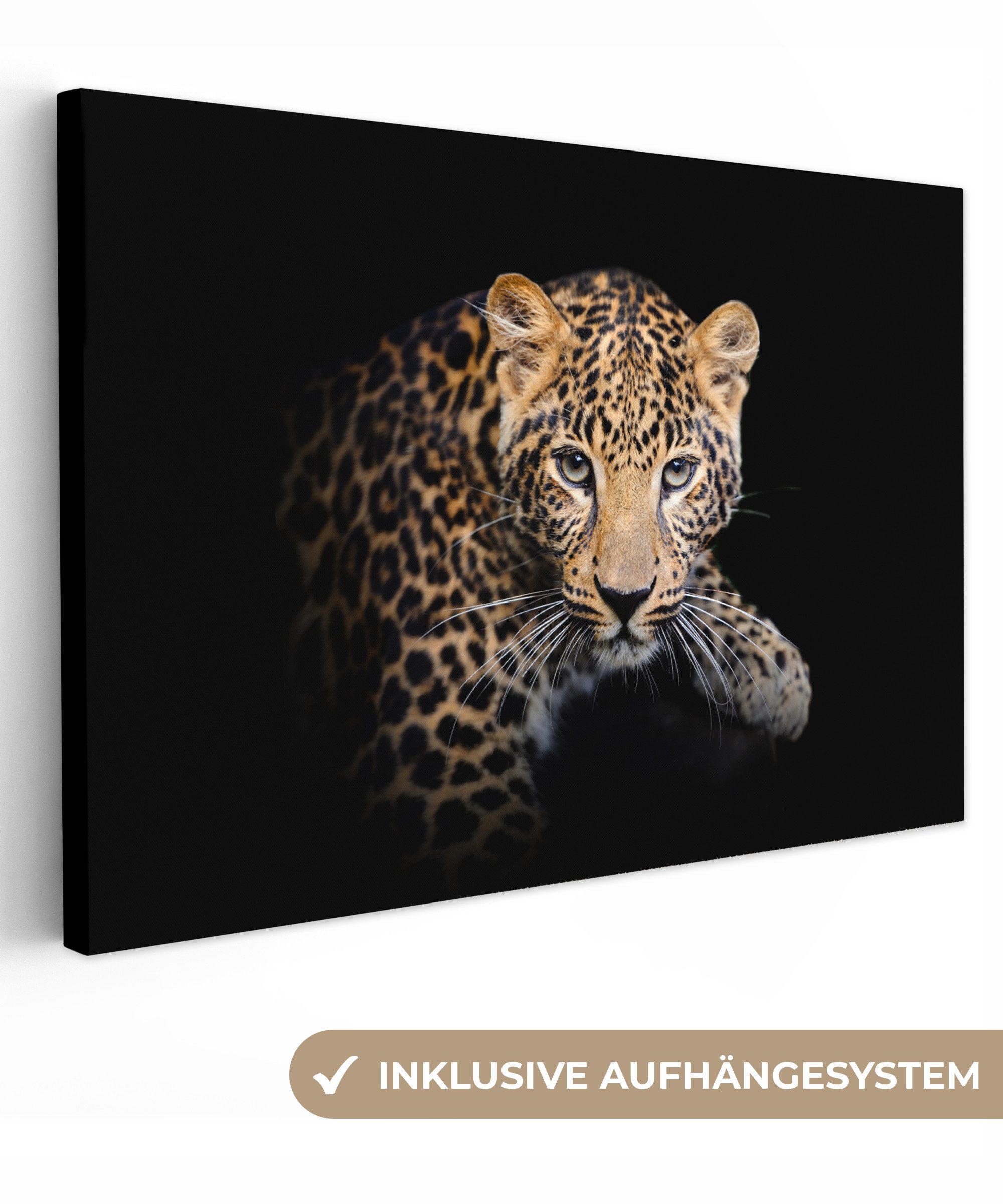 OneMillionCanvasses® Leinwandbild Panther - Schwarz - günstig online kaufen