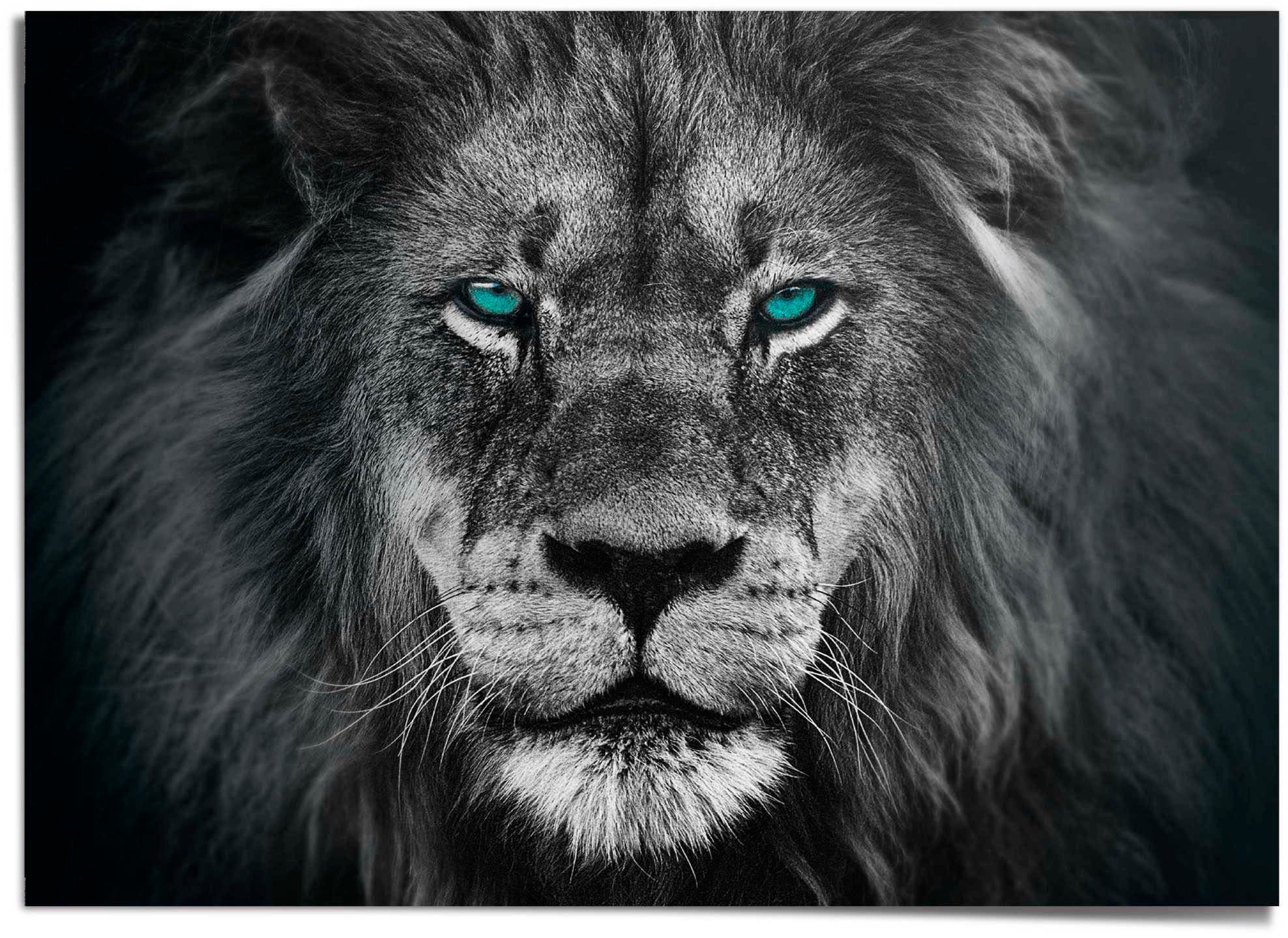 Reinders! Poster Löwe