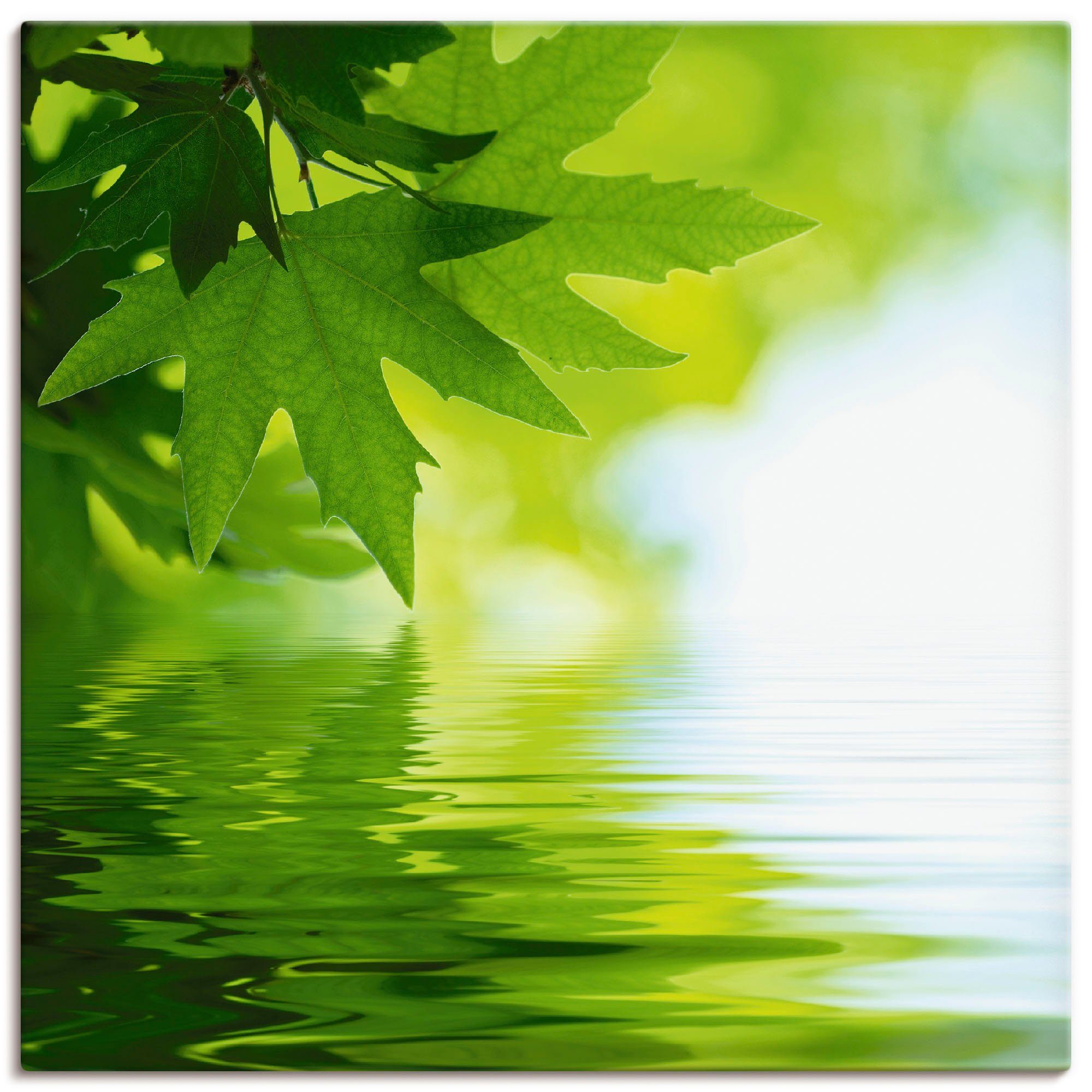 Artland Leinwandbild Grüne Blätter reflektieren im Wasser, Blätter (1 St), auf Holzrahmen gespannt