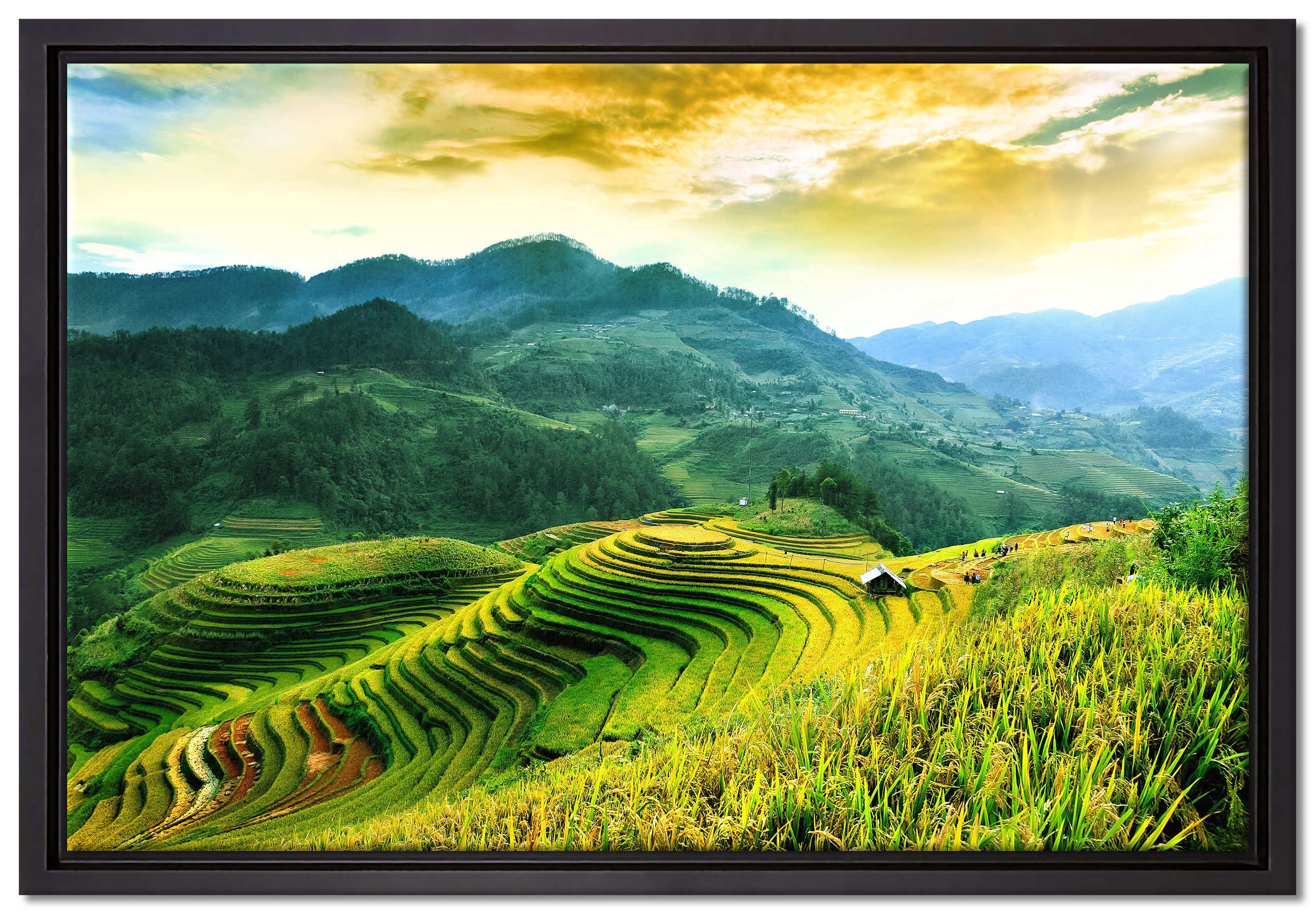 Pixxprint Leinwandbild Reisfelder in Vietnam, Wanddekoration (1 St), Leinwandbild fertig bespannt, in einem Schattenfugen-Bilderrahmen gefasst, inkl. Zackenaufhänger